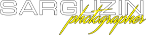 sarguzin.wfolio.pro