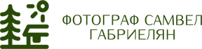 samgabriel.ru