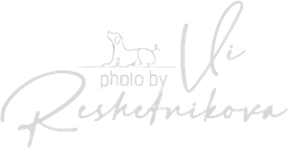 reshetnikovaphoto.ru