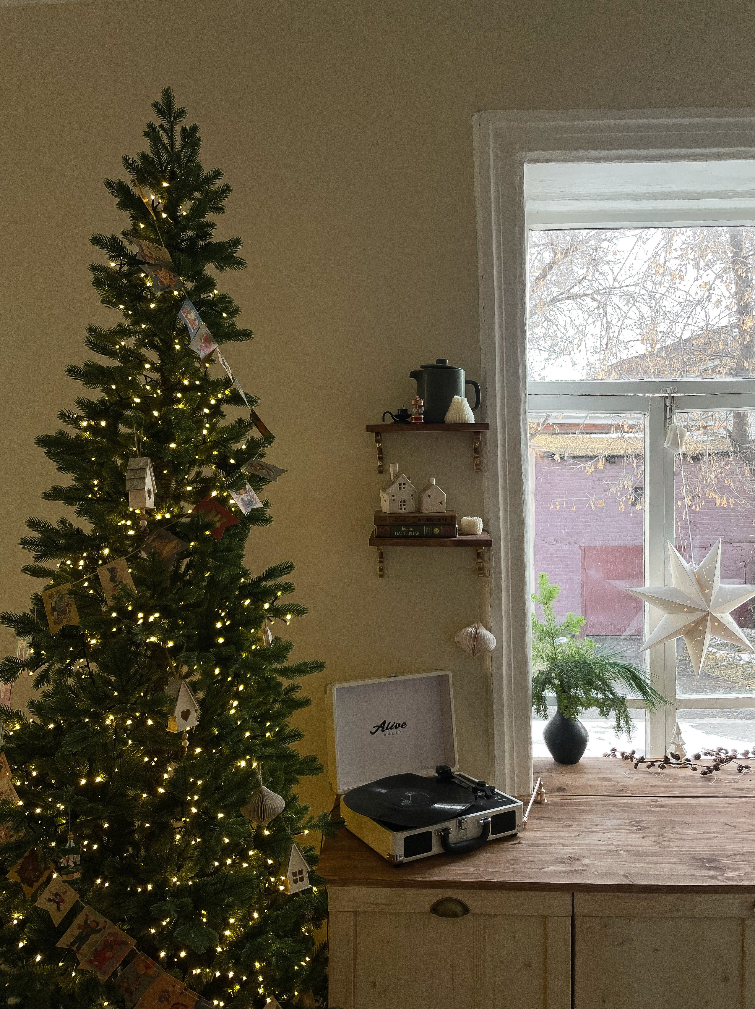 Новогодние 2025-2026. Семейный фотограф Тюмень Смирнова Юлия