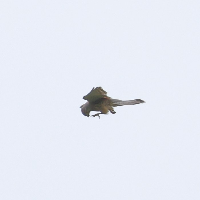 Большой уикенд. Суббота