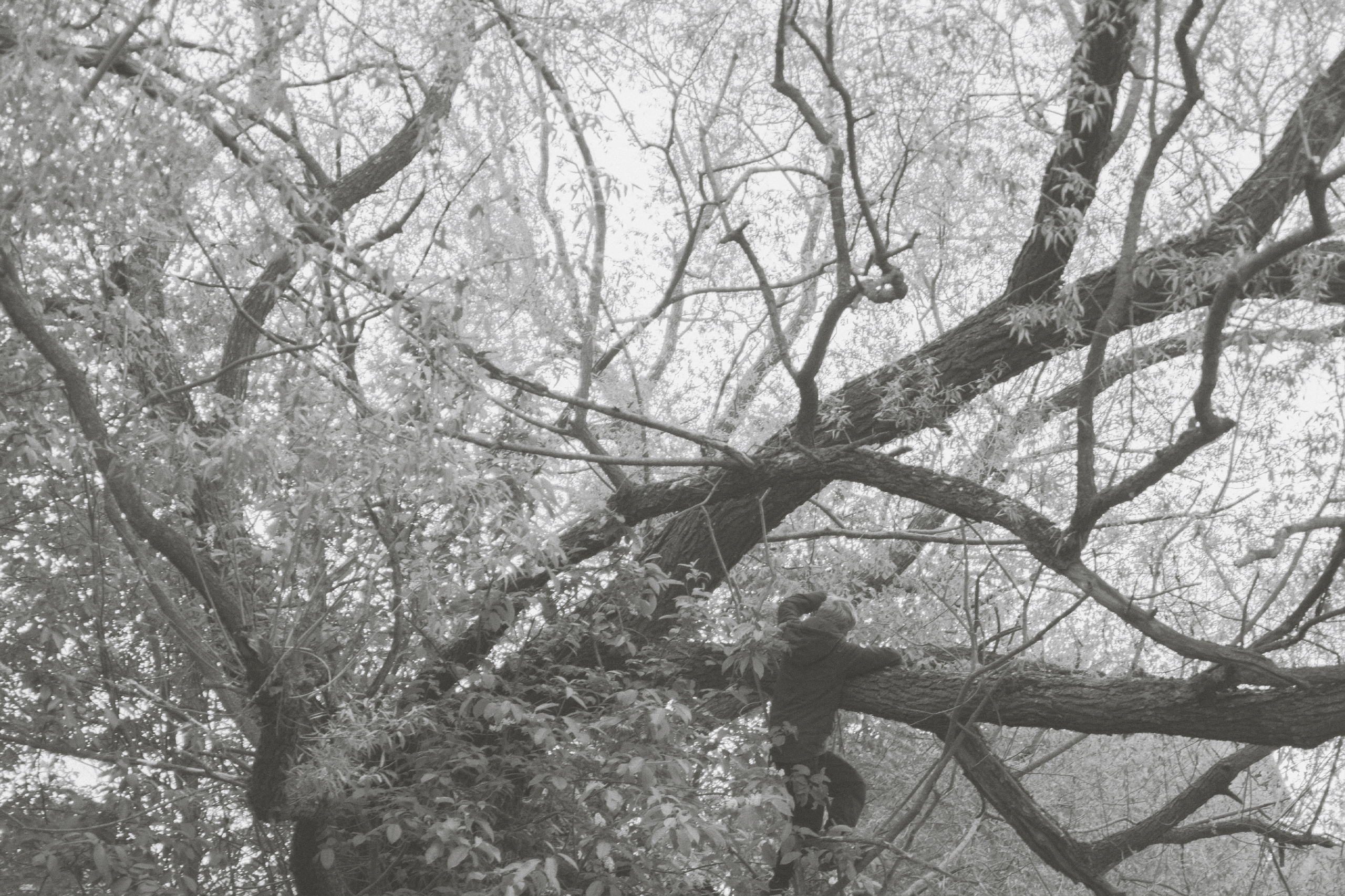 Течение. Детство (2022). Фотограф Полина Треногина