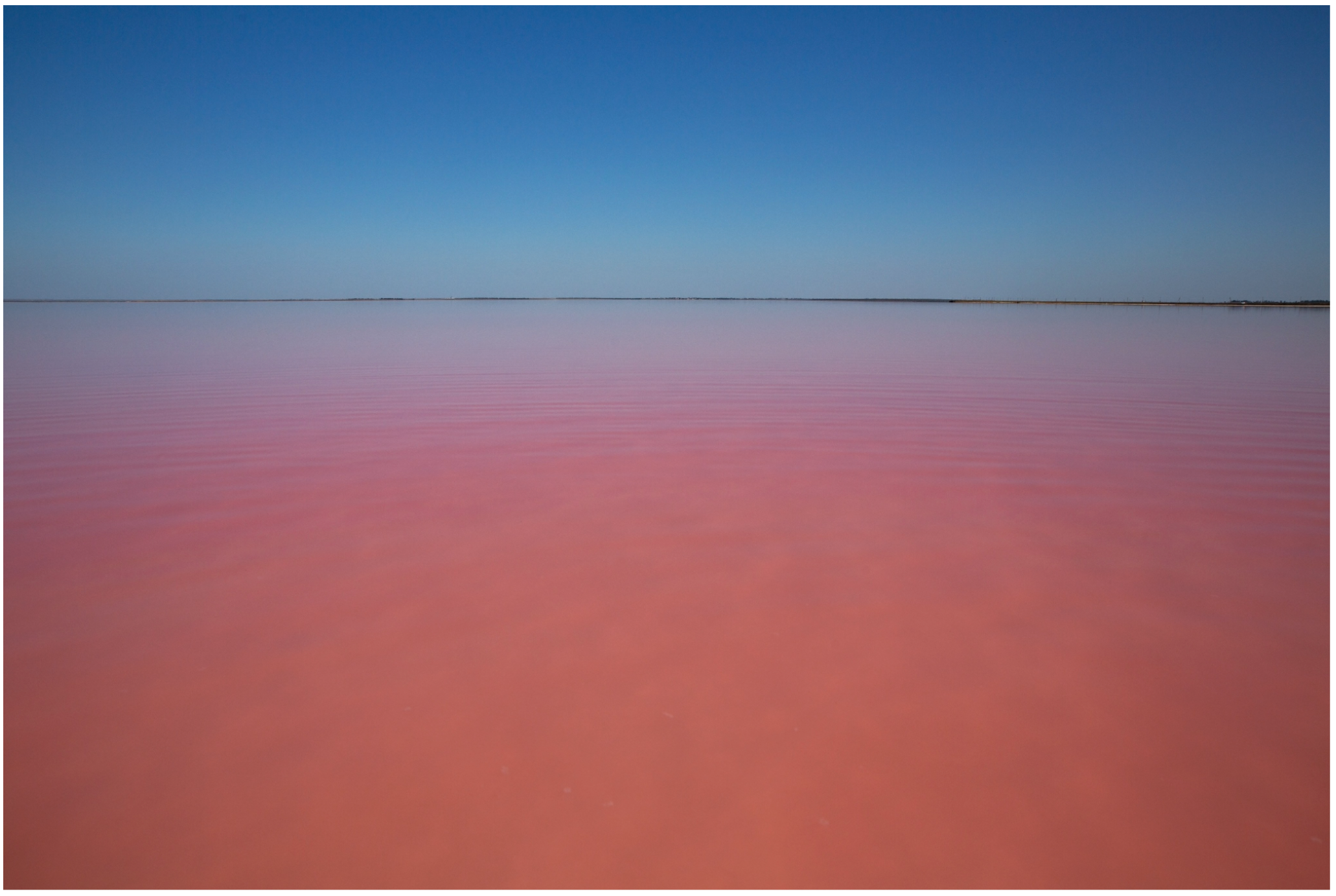 Галереи, выставки, арт-проекты. Visual artist, photographer Liana Darenskaya, Moscow