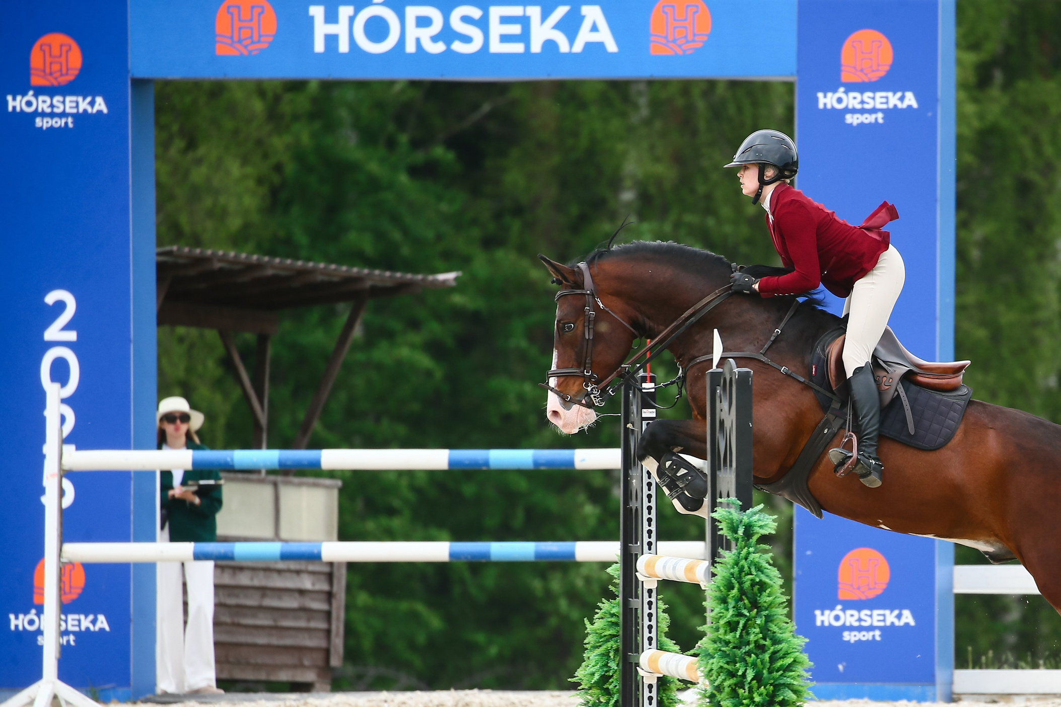 Купить фотографии с турниров. KatymartArt — Equine photography