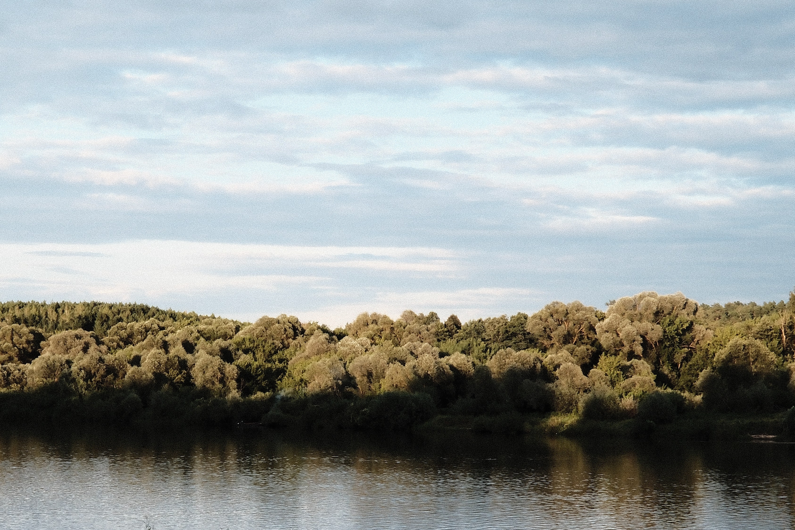 Солнечная на Оке. Belugin Art