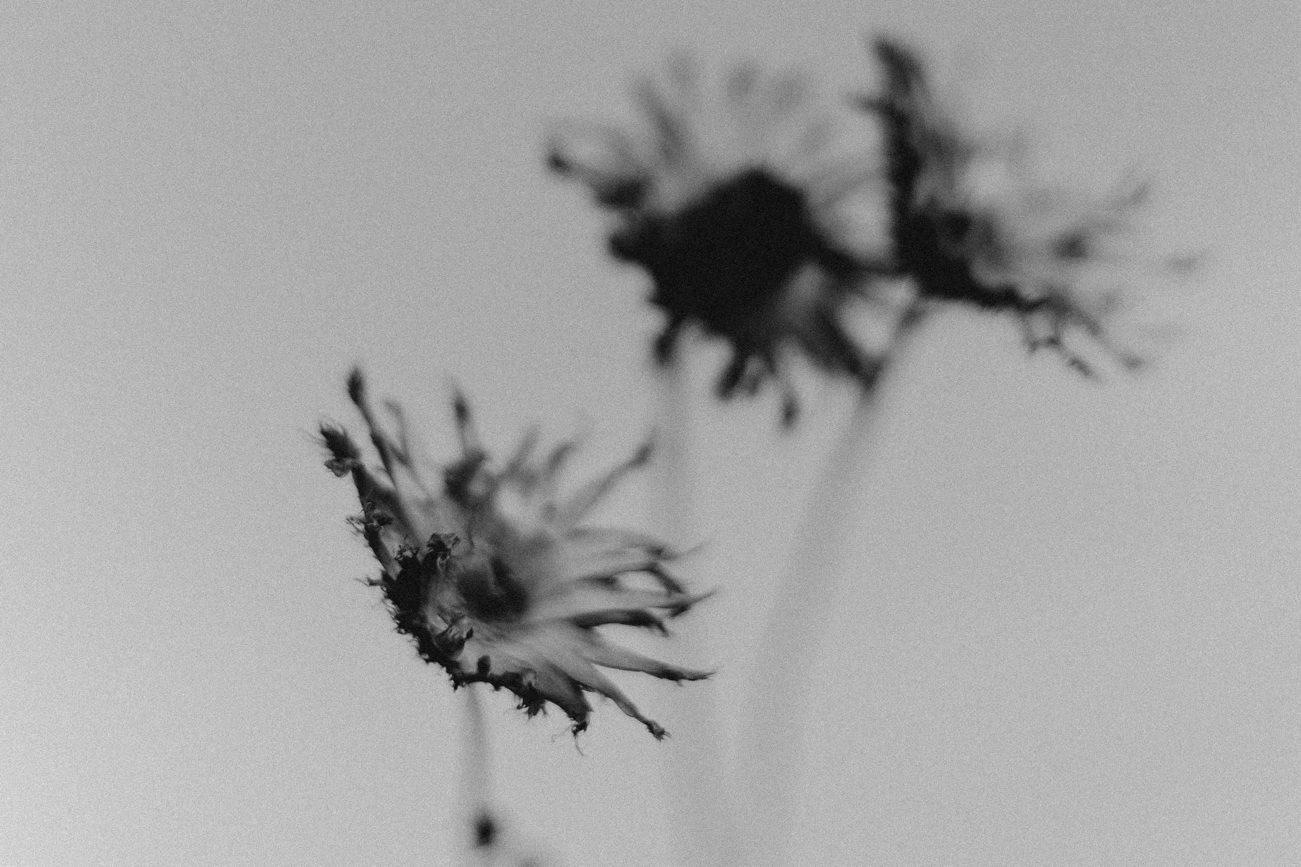 ПРАКТИКА / карта фотографа. Фотограф Блинова Арина | Санк-Петербург