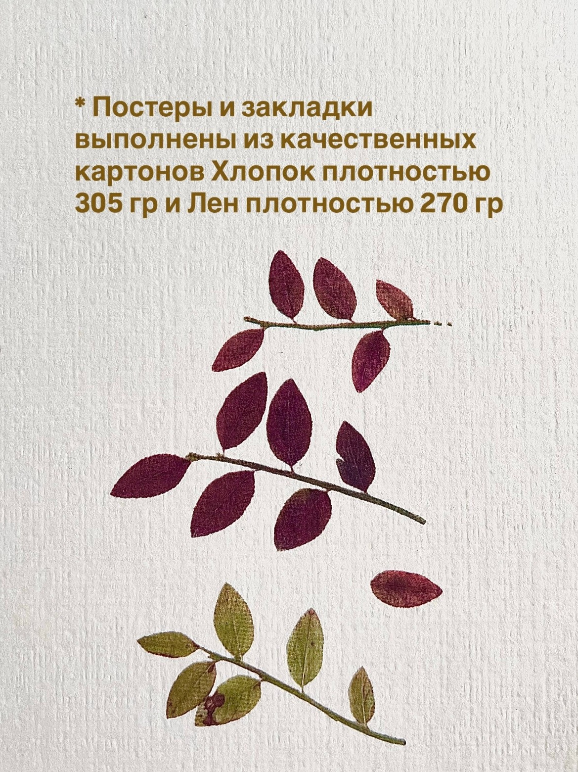 Мерч. Artist Lisa Vladimirova (lisawladimirowa)