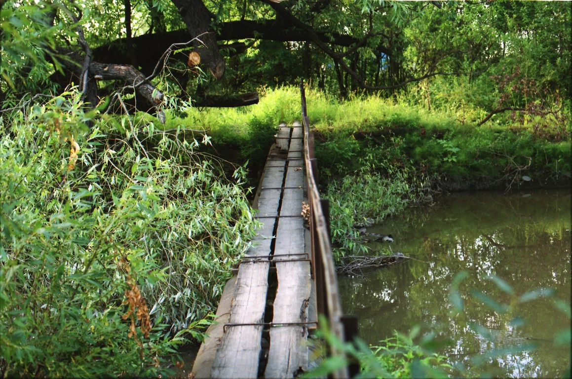 Красненькая биеннале 2023 (СПБ)