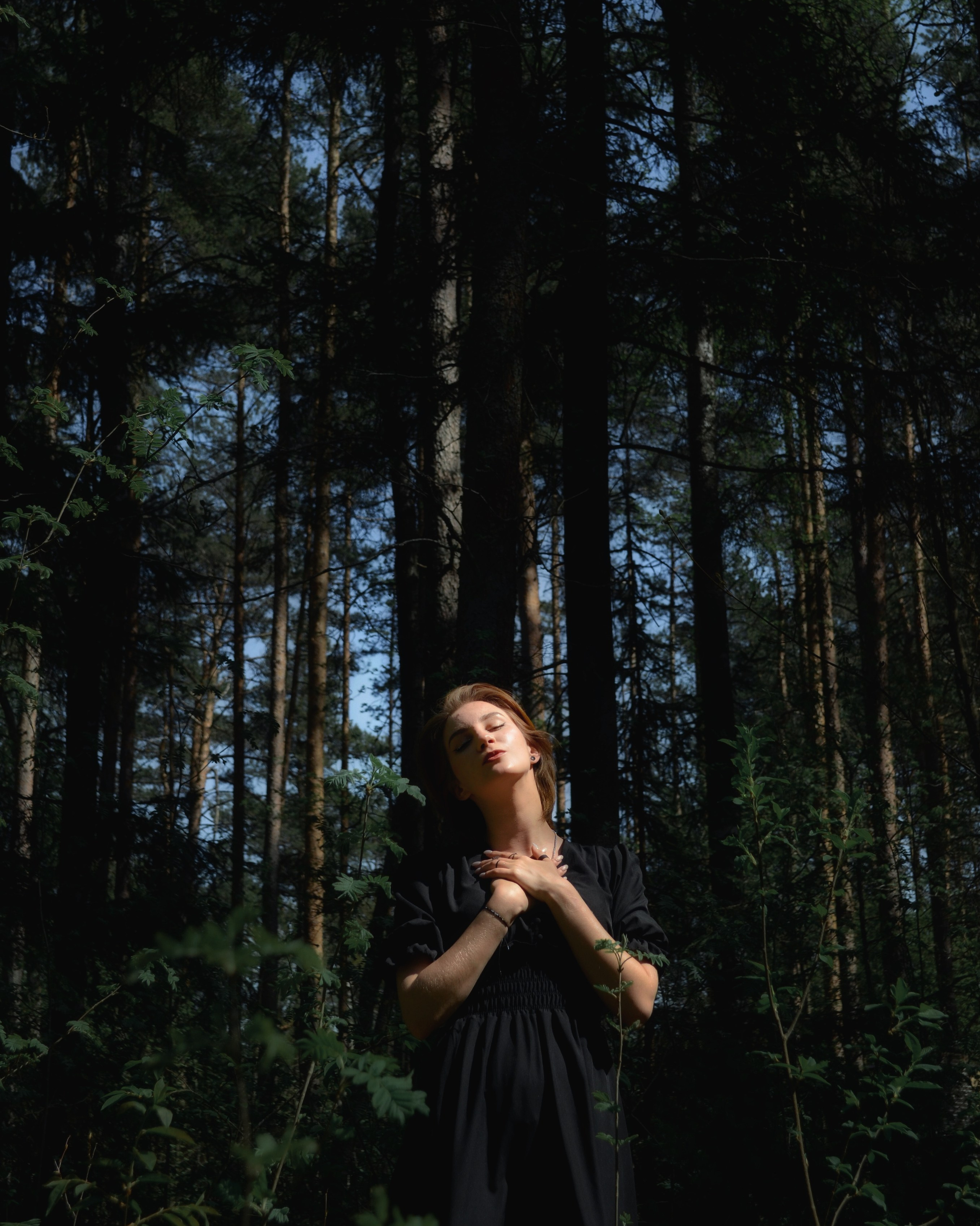 Прайс. Wirinsens