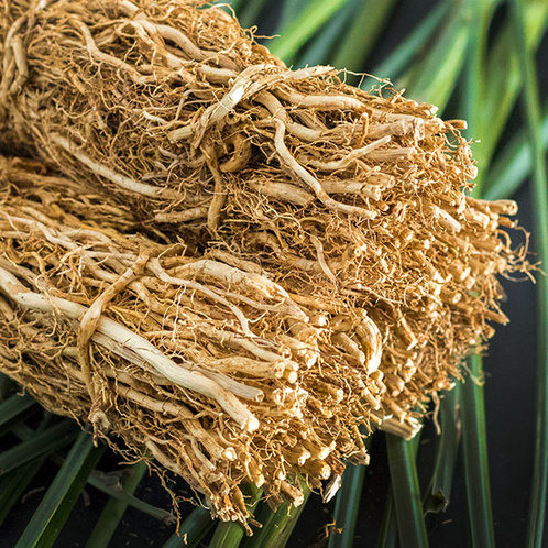 Эфирное масло Ветивер/Vetiver. VDAO.RU — исцеляющие практики