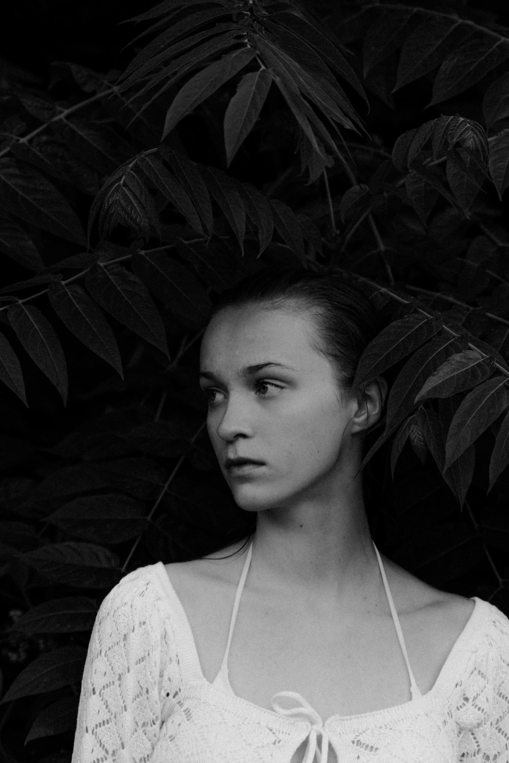 Обо мне. Фотораф — анималист Мария Шистка