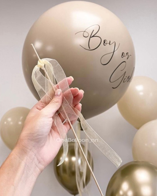 Узнать пол ребенка девочка мальчик. One Balloon Воздушные и гелиевые шары Фотозоны Нижний Новгород