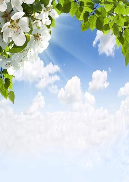 Услуги. Https://lifefotonn.ru/