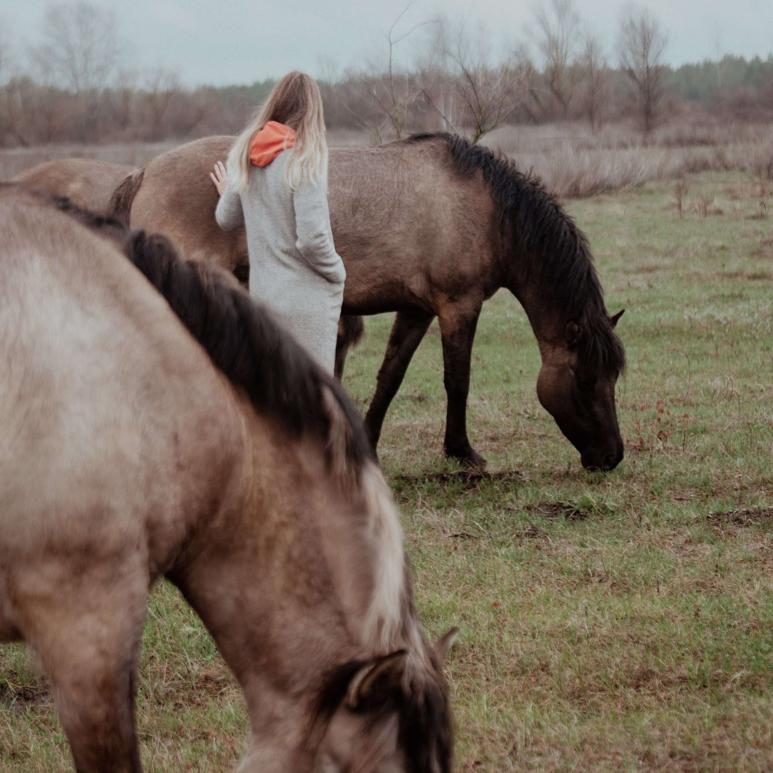 Услуги. Конный фотограф в Саратове Юлия Иванова