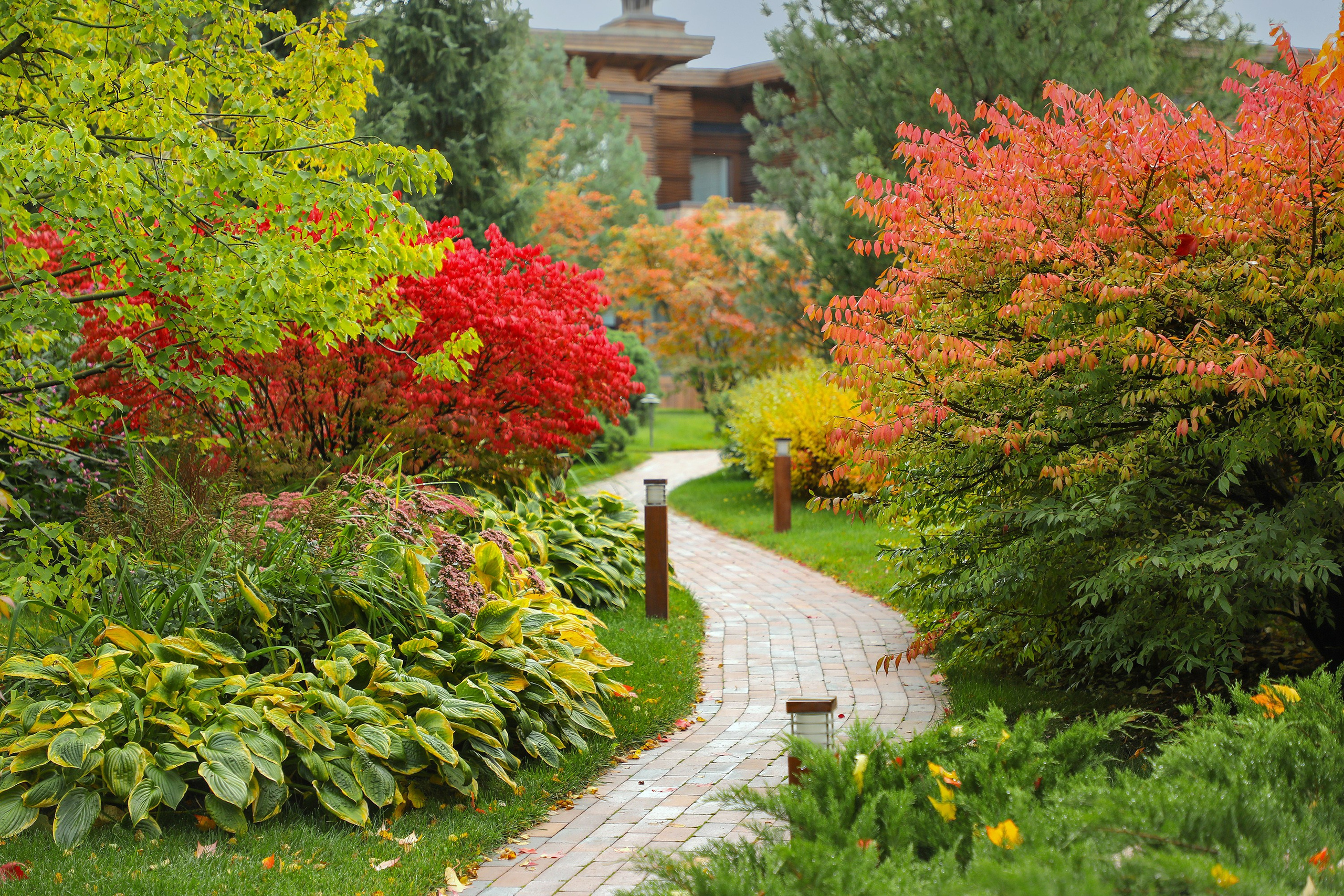 Ландшафтный фотограф Андрей Лысиков, Москва