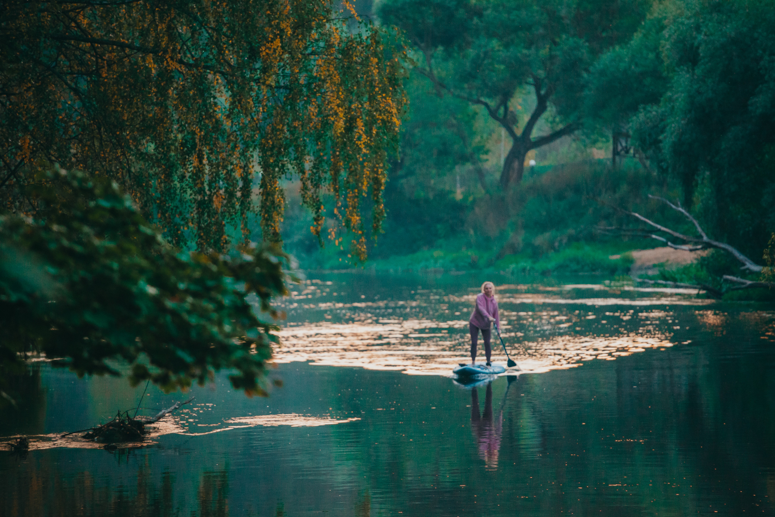 Услуги. Фотограф Москва и область