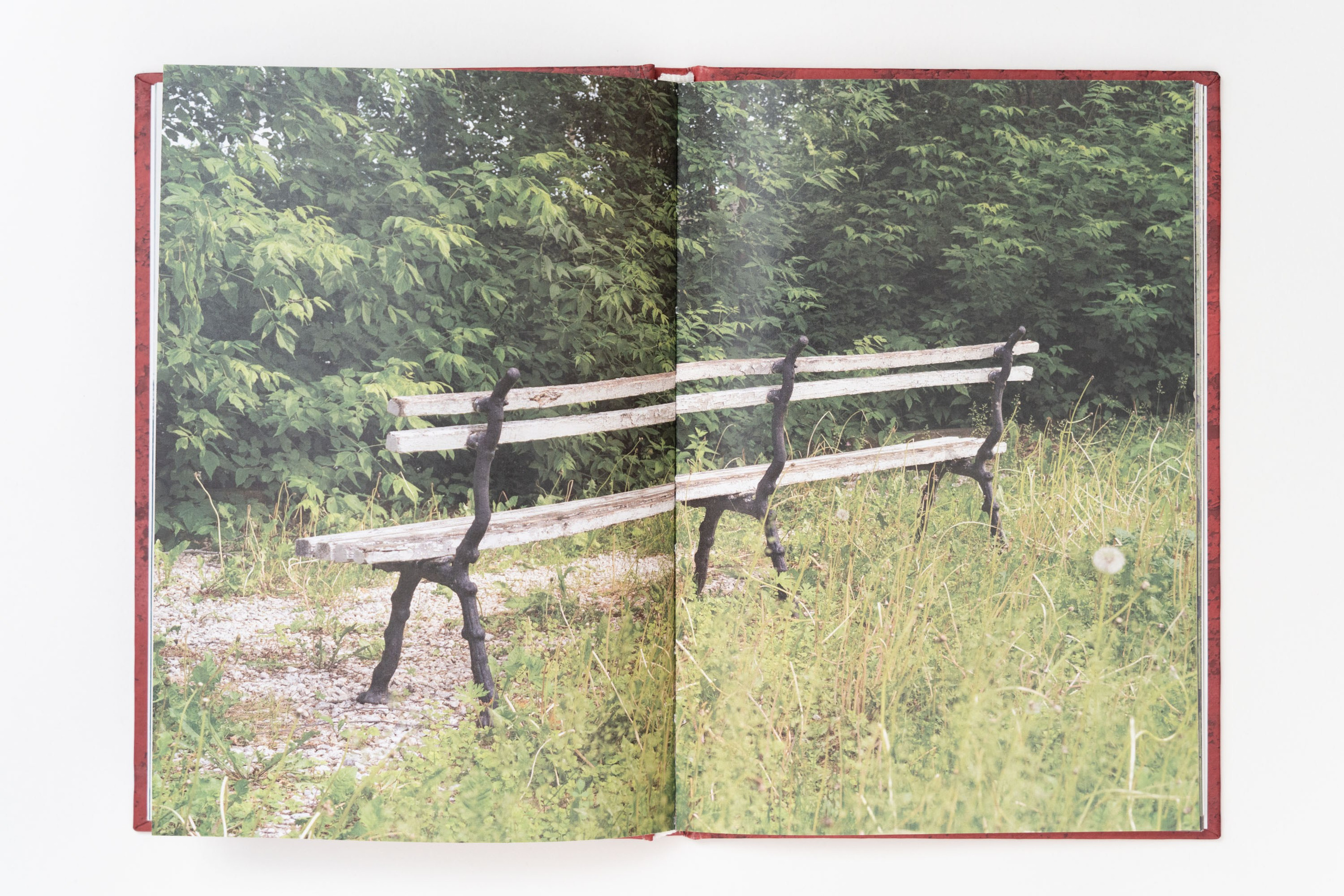 Кругом кажется весело — Александр Барановский