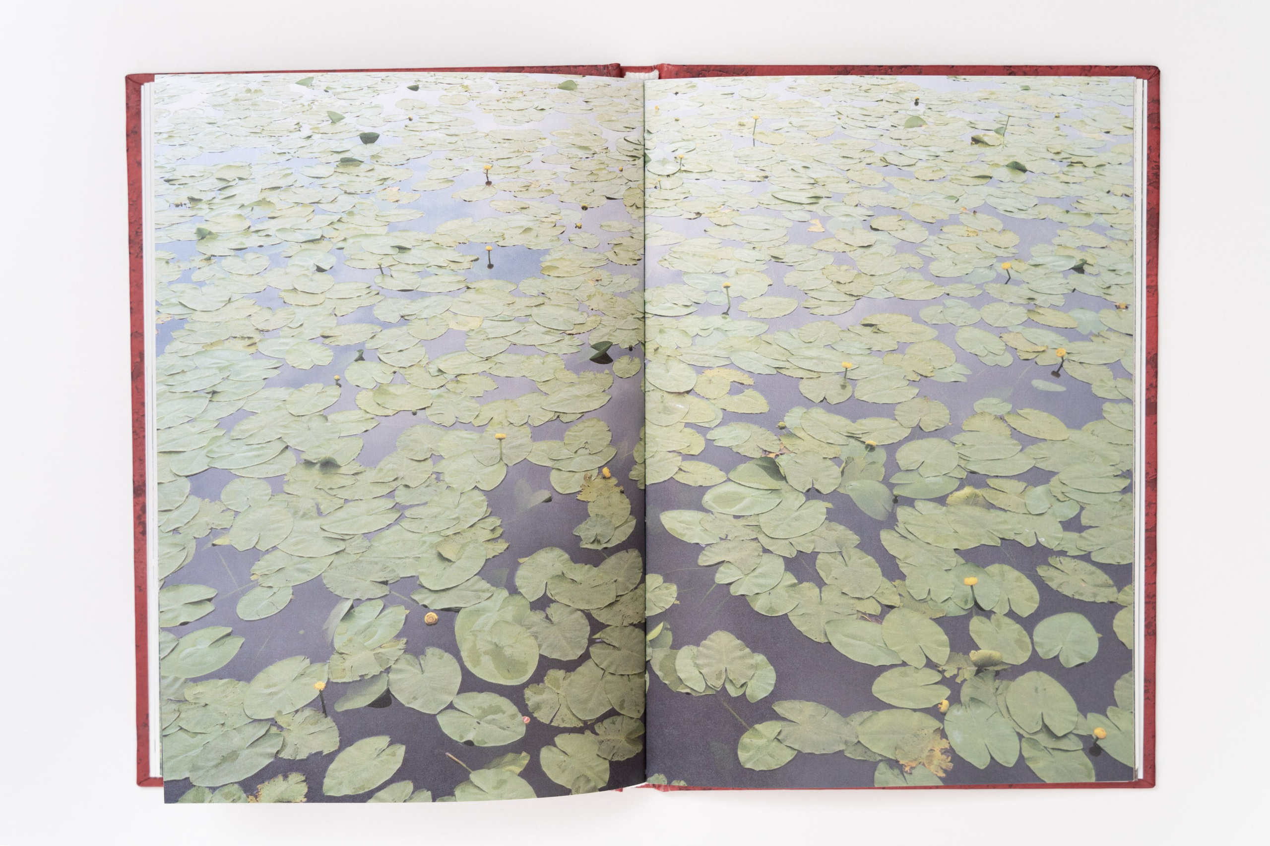 Кругом кажется весело — Александр Барановский