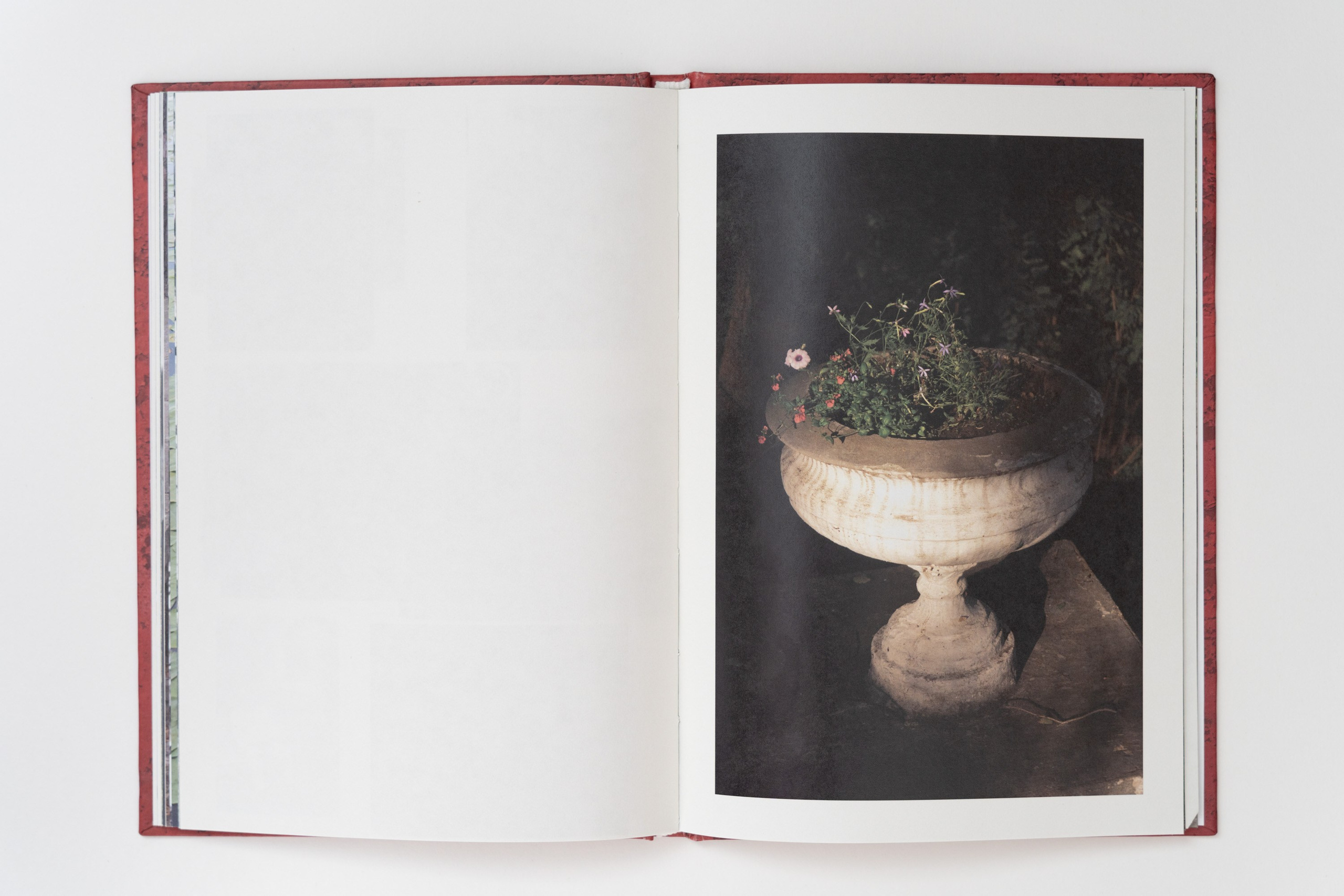 Кругом кажется весело — Александр Барановский