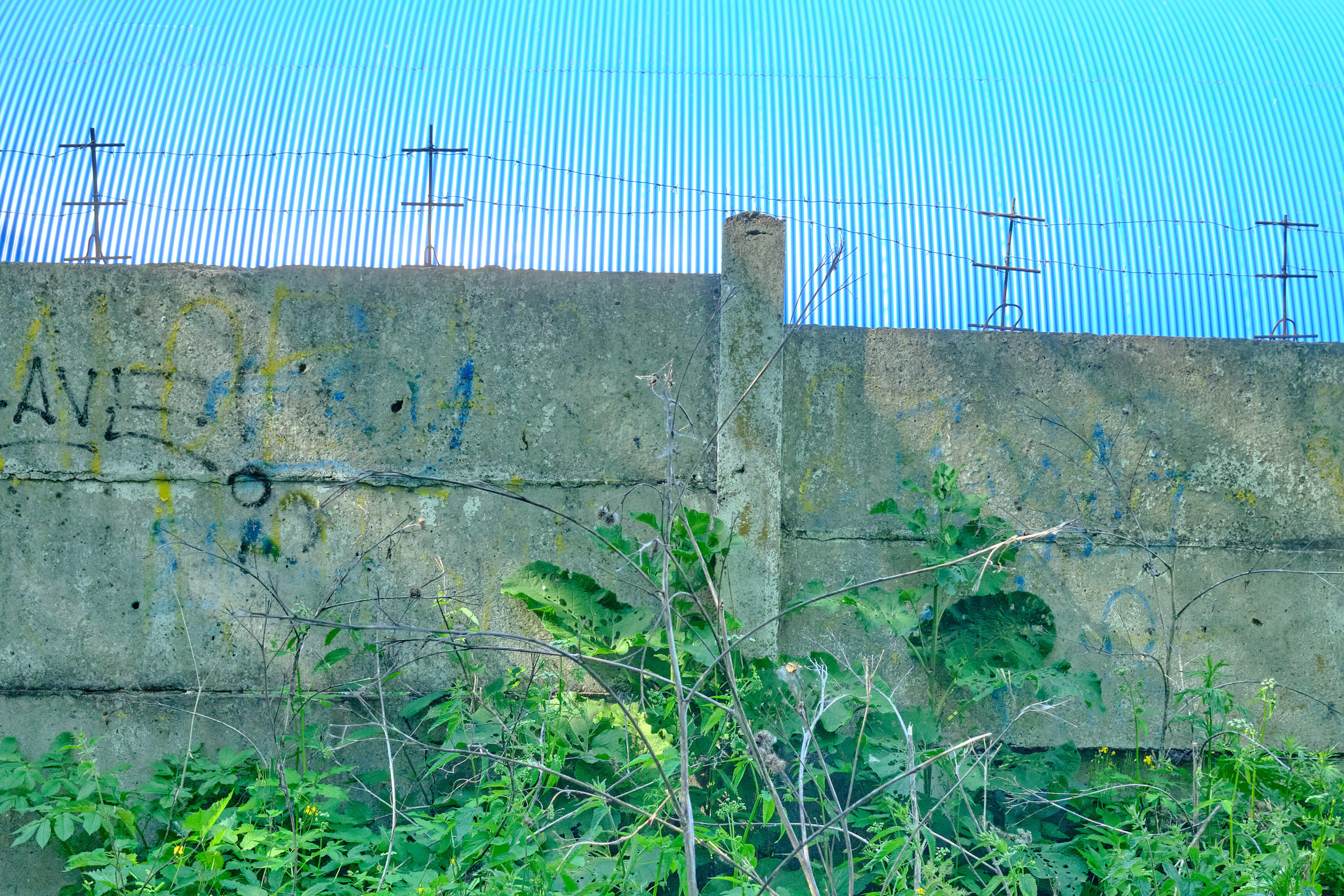 Творчество. Фотограф Лука Бутомо