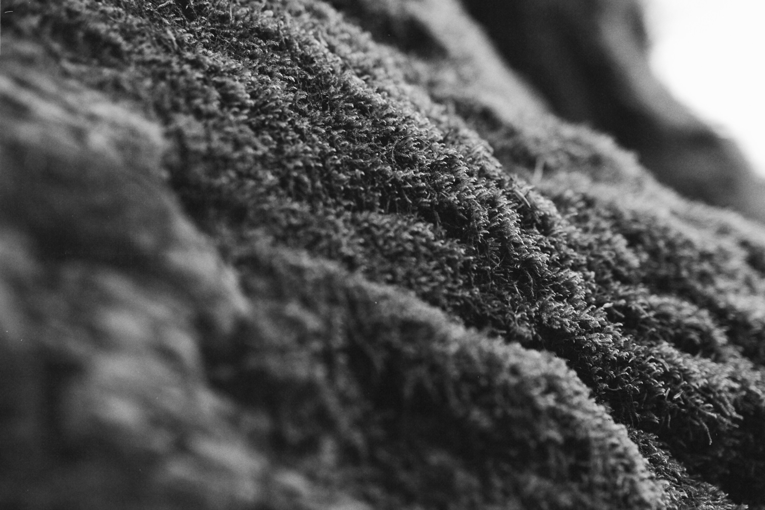 Туапсе. Персональный фотограф Москва Кислякова Алина. Фотограф в Дубае, ОАЭ