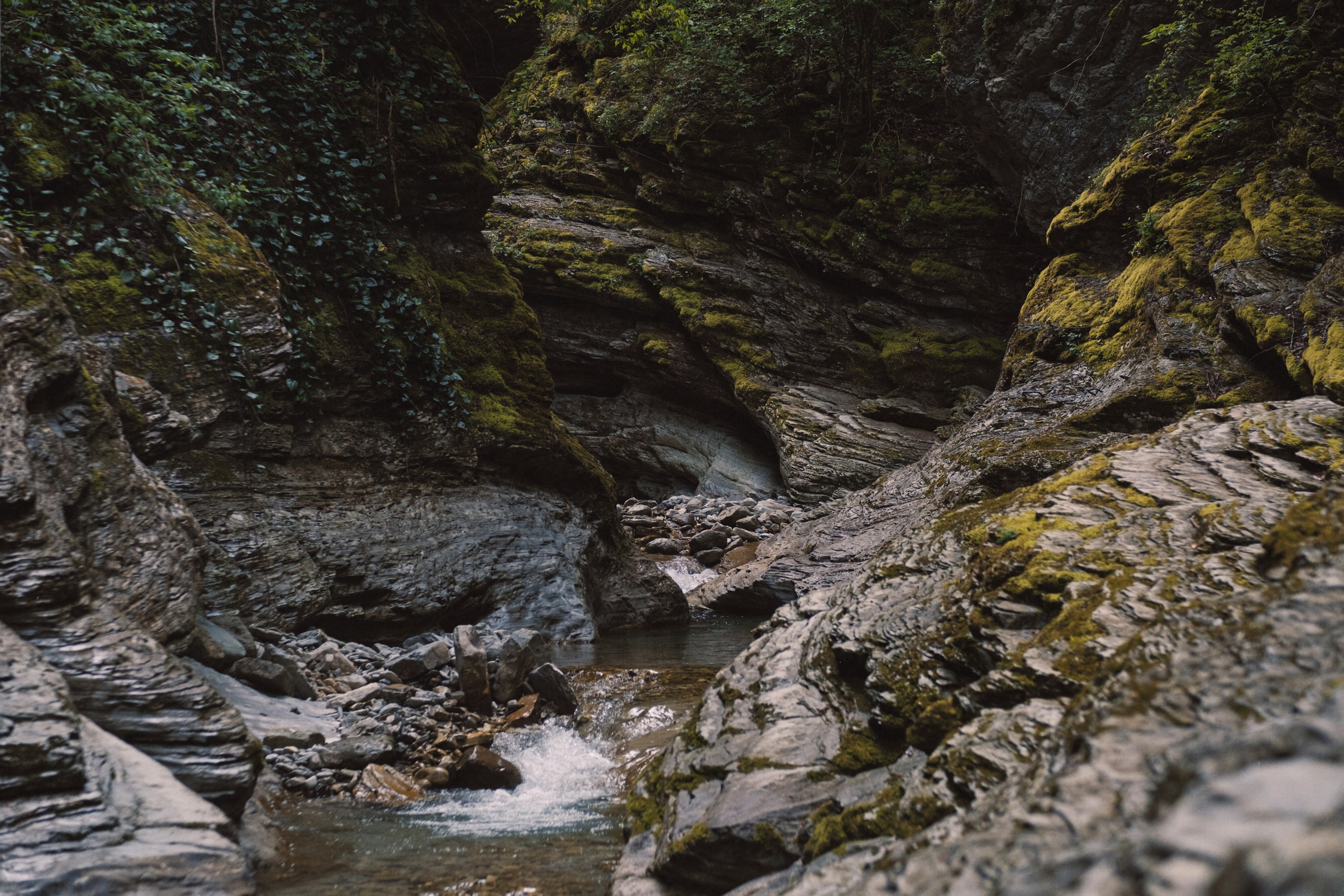 Туапсе. Персональный фотограф Москва Кислякова Алина. Фотограф в Дубае, ОАЭ