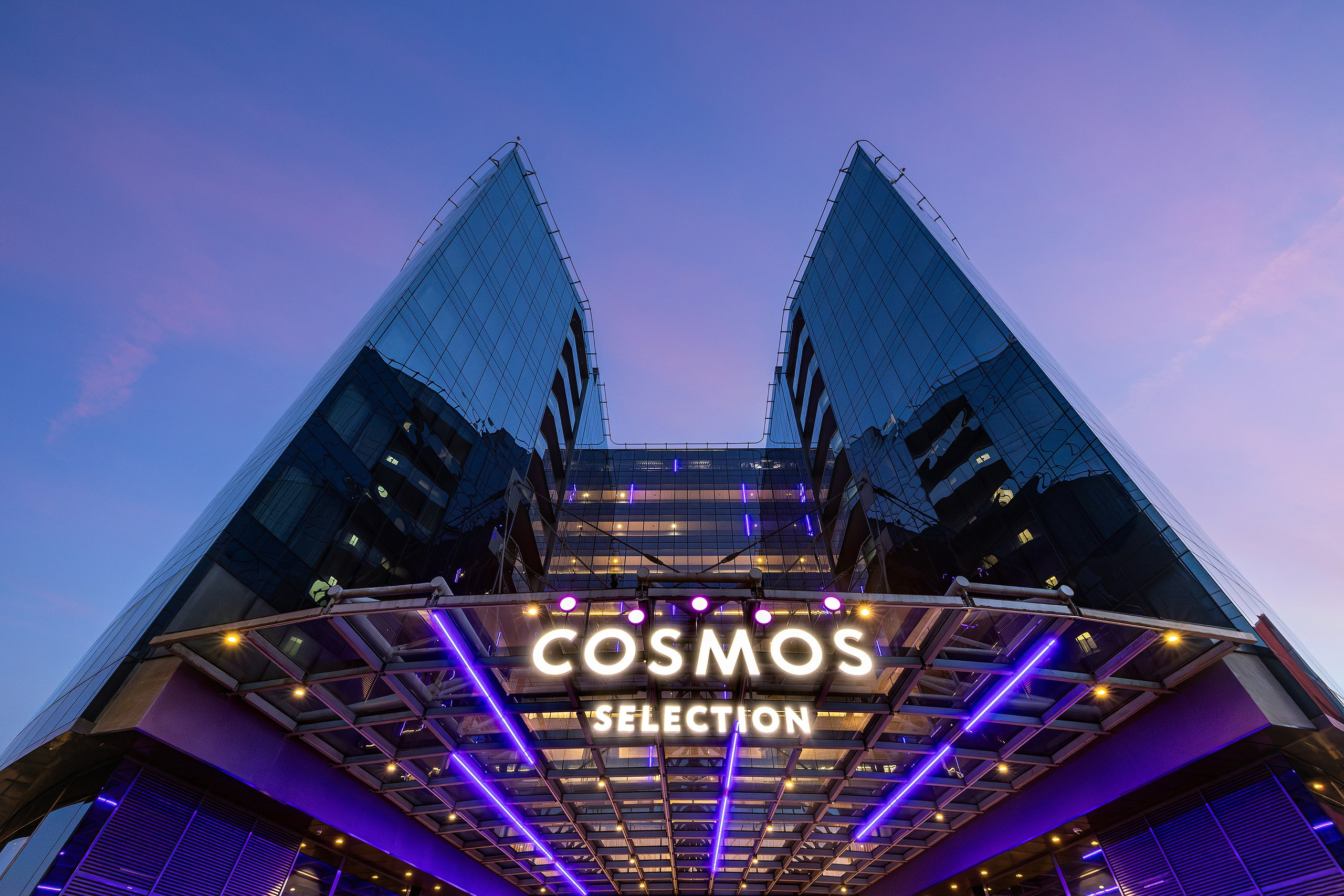 Cosmos Selection Moscow Sheremetyevo Airport Hotel
