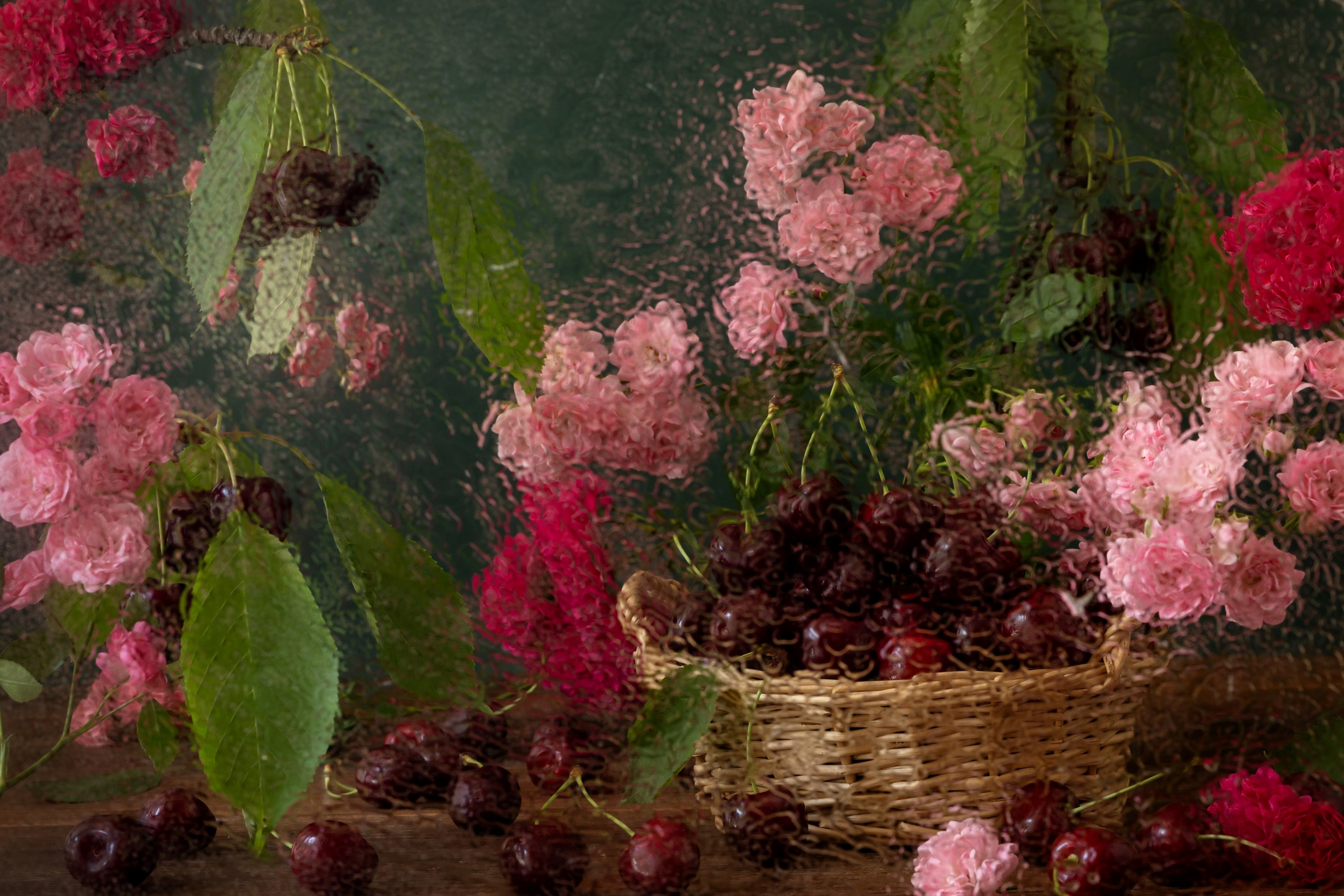 Botanical Still Lifes. Author’s fine art prints with international delivery