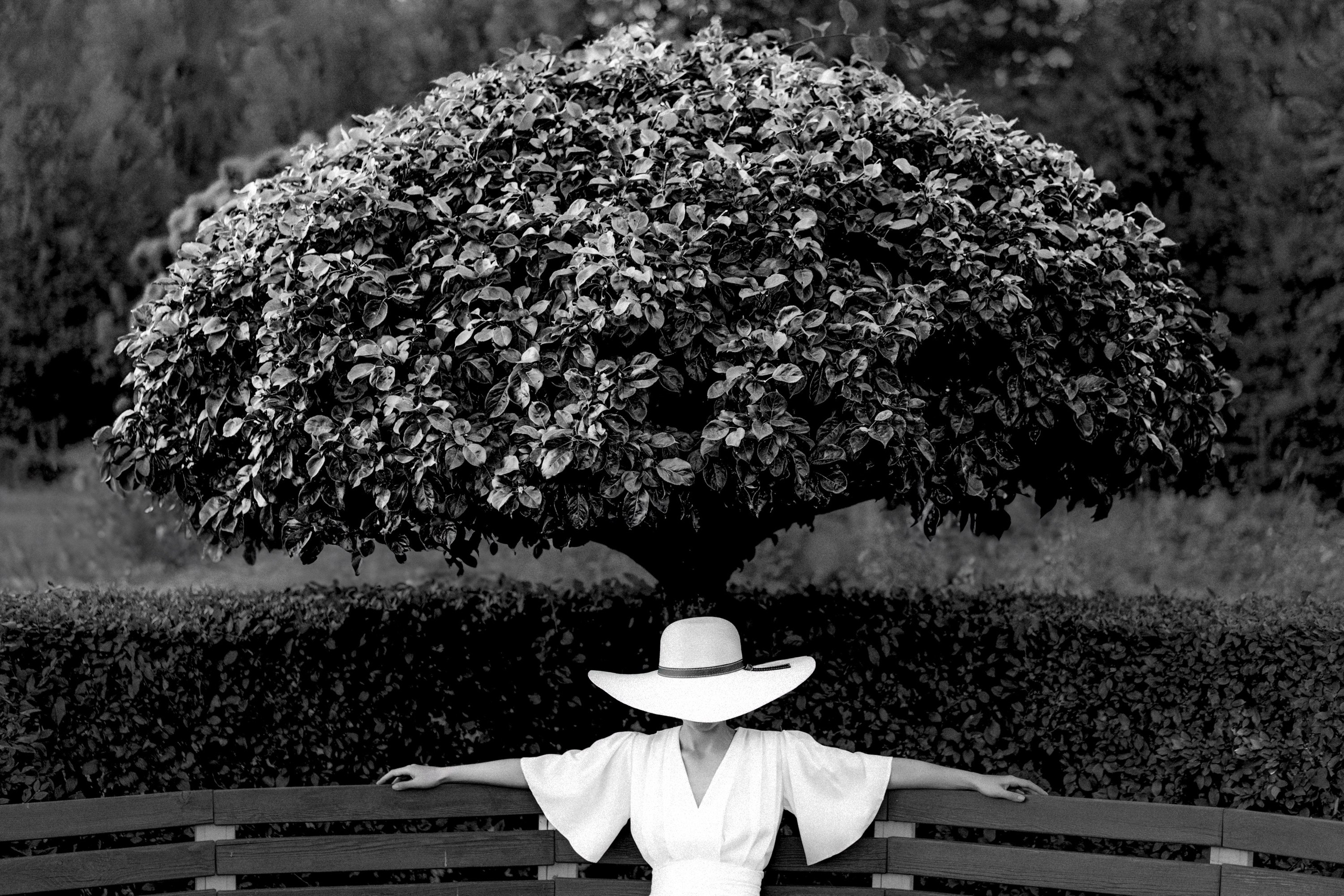 Девушка в белом платье под деревом.