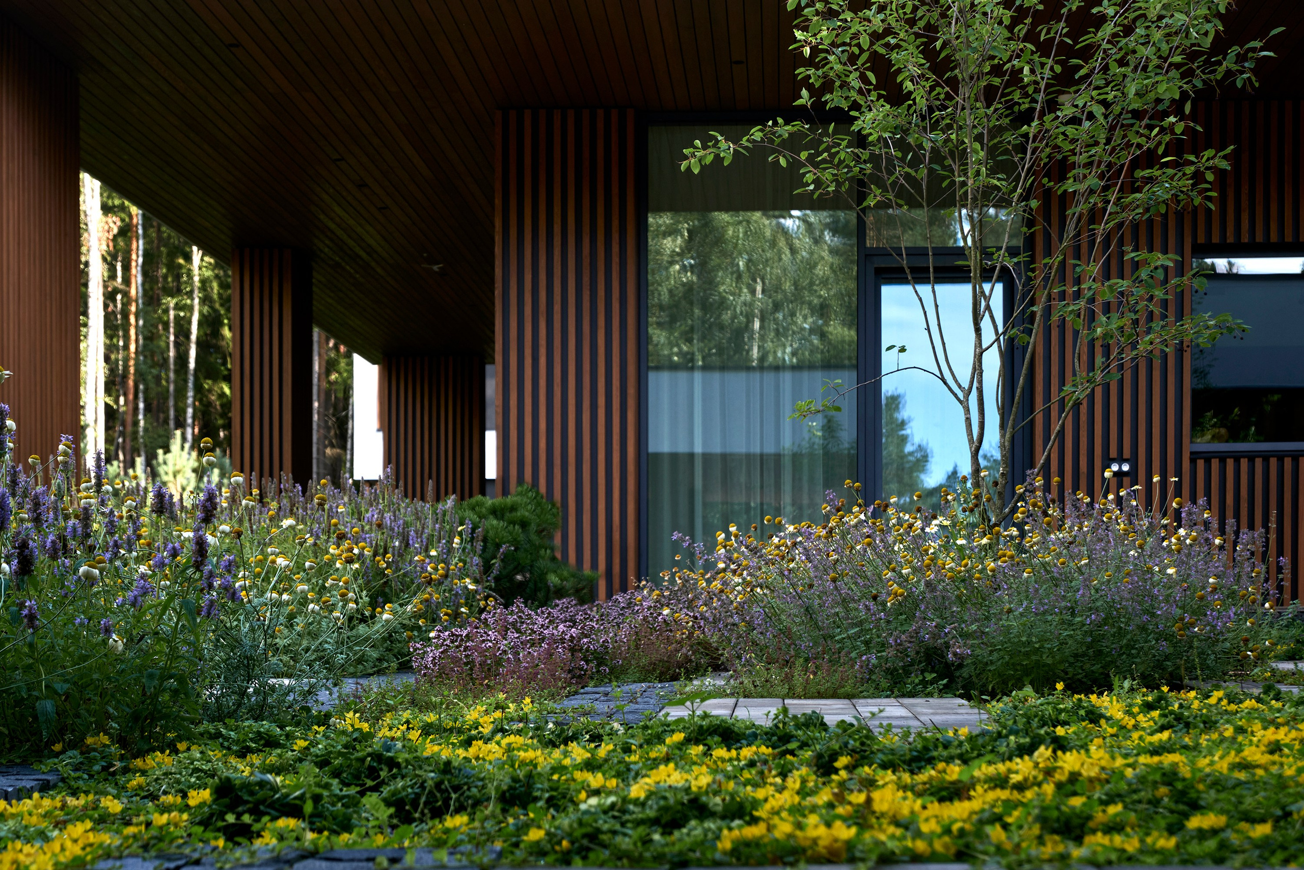 Ландшафтный фотограф в Санкт-Петербурге Наталья Соловьева. Фотосъемка садов высокого уровня | interioto
