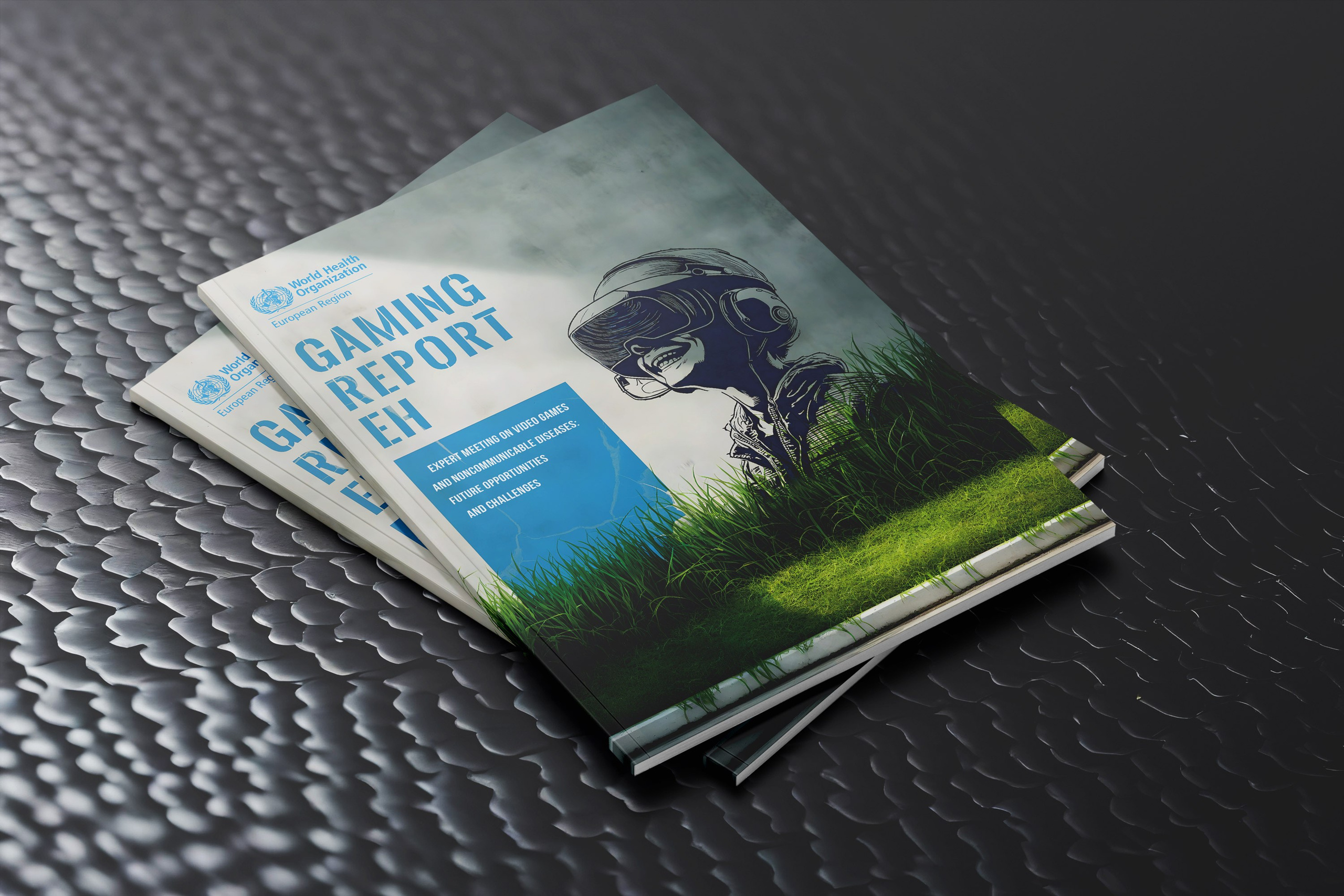 Дизайн книжных обложек. Дизайн и верстка книг