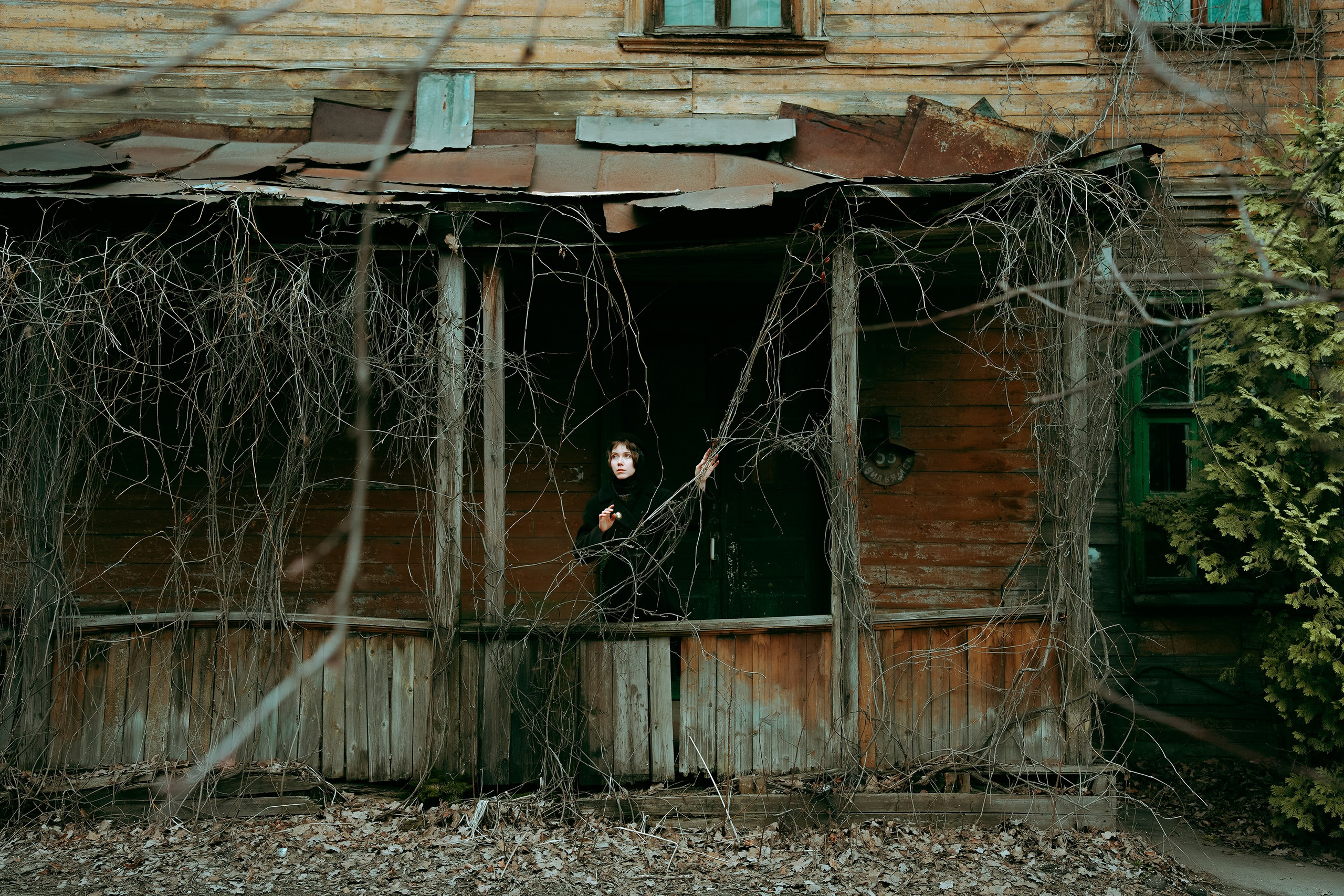 Вероника. Фотограф из Москвы — DASHA NOVA | Авторская фотография в разных жанрах