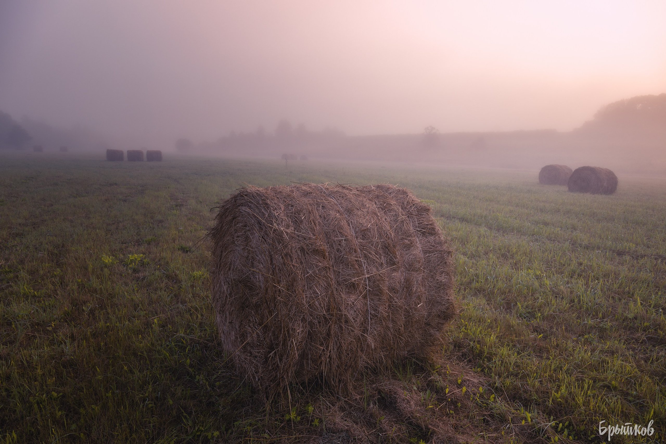 Катышки сена Воздремо. Николай Брытков — фотограф в Туле