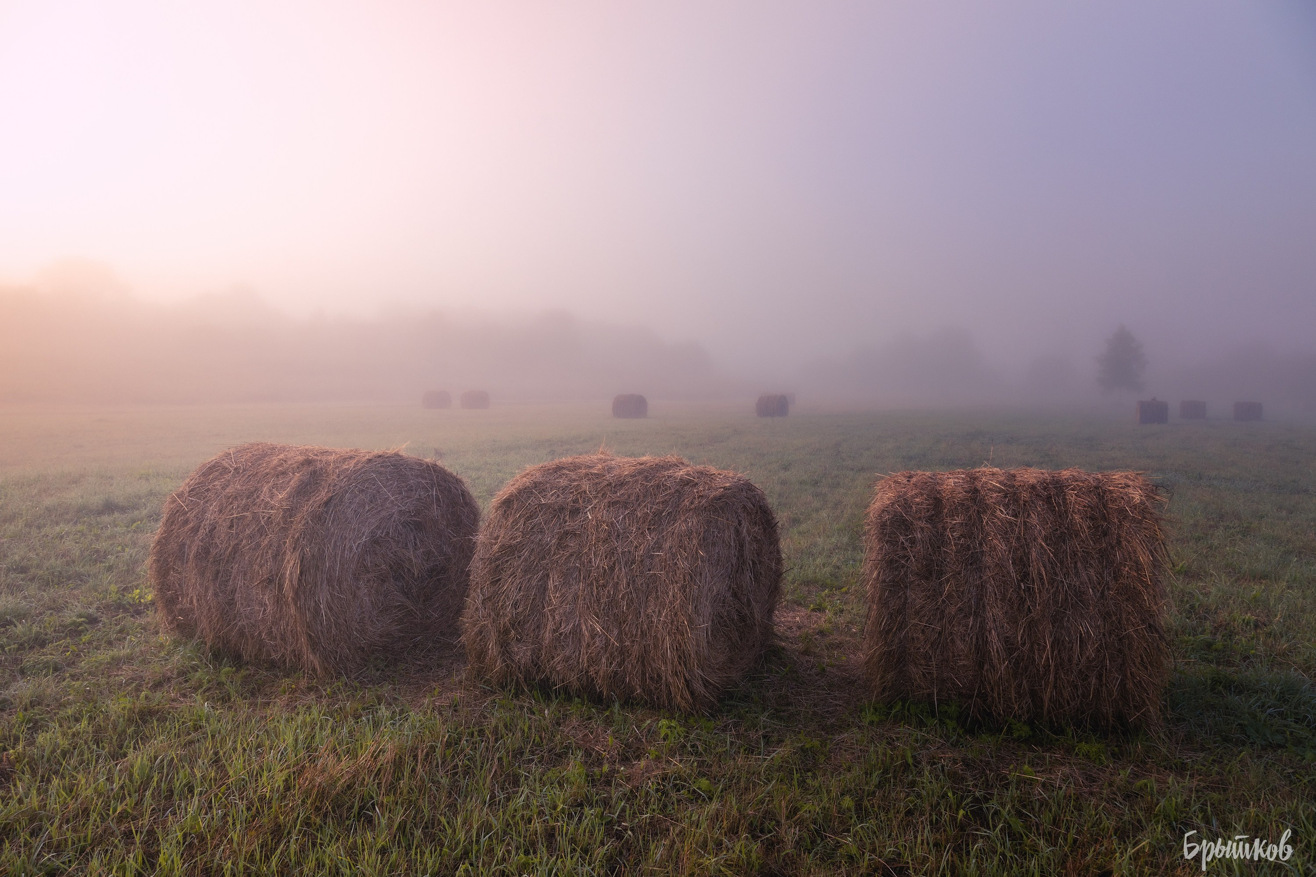 Катышки сена Воздремо. Николай Брытков — фотограф в Туле