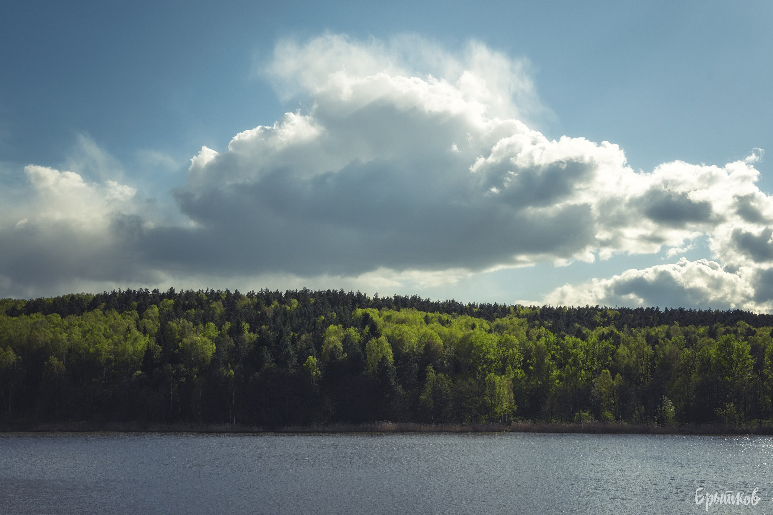 Дом Мосоловых в Дубне: удивительное рядом. Николай Брытков — фотограф в Туле