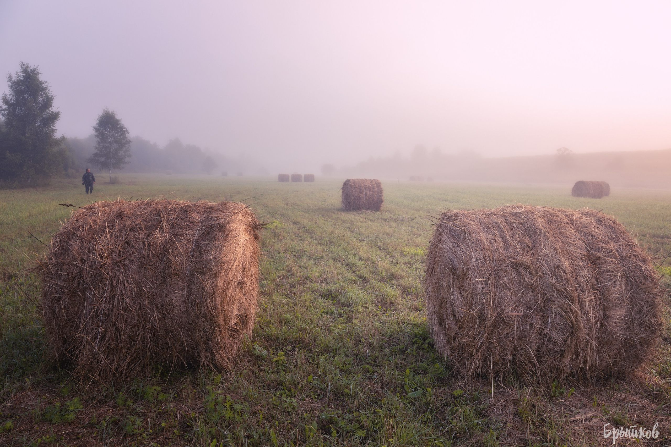 Катышки сена Воздремо. Николай Брытков — фотограф в Туле