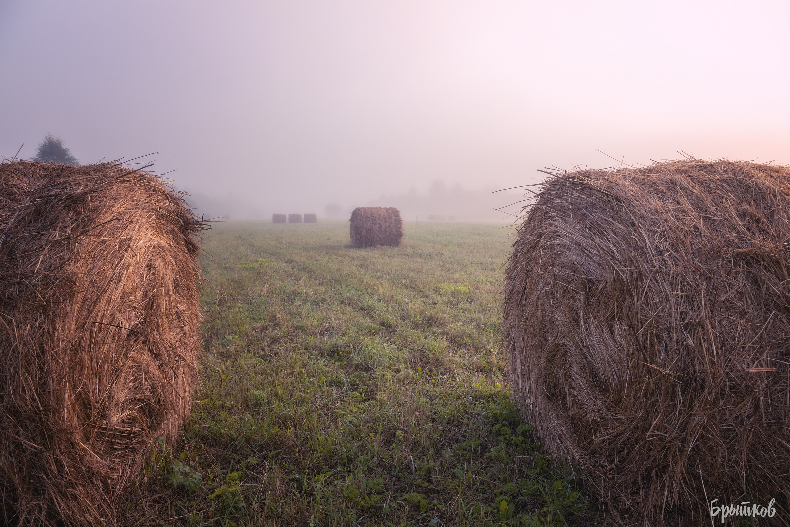 Катышки сена Воздремо. Николай Брытков — фотограф в Туле