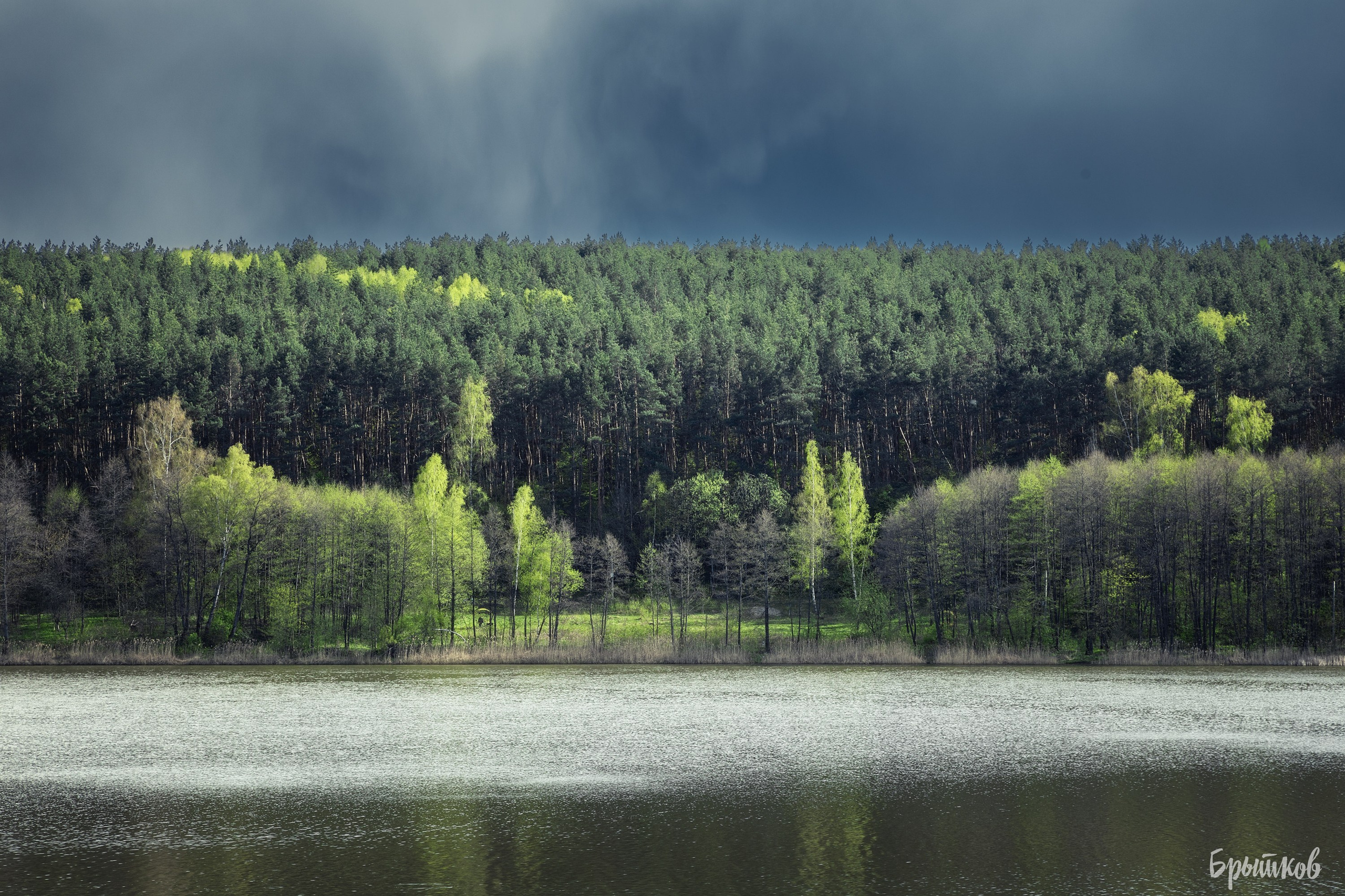Дом Мосоловых в Дубне: удивительное рядом. Николай Брытков — фотограф в Туле
