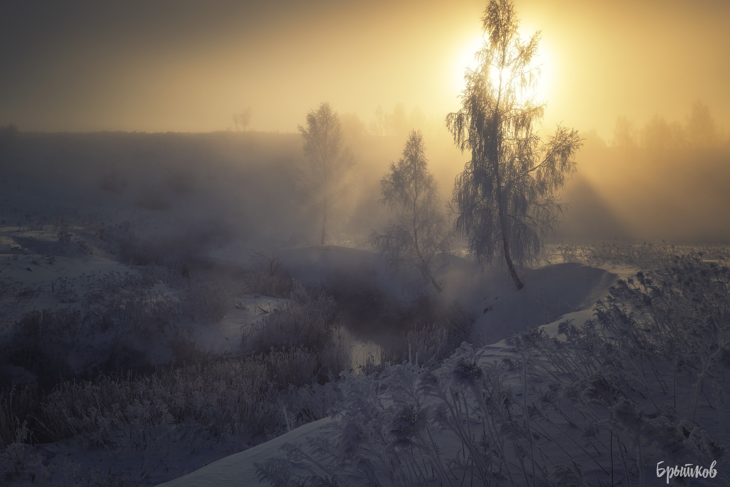 Туман над р. Деготня в районе д. Малая Кожуховка. Николай Брытков — фотограф в Туле