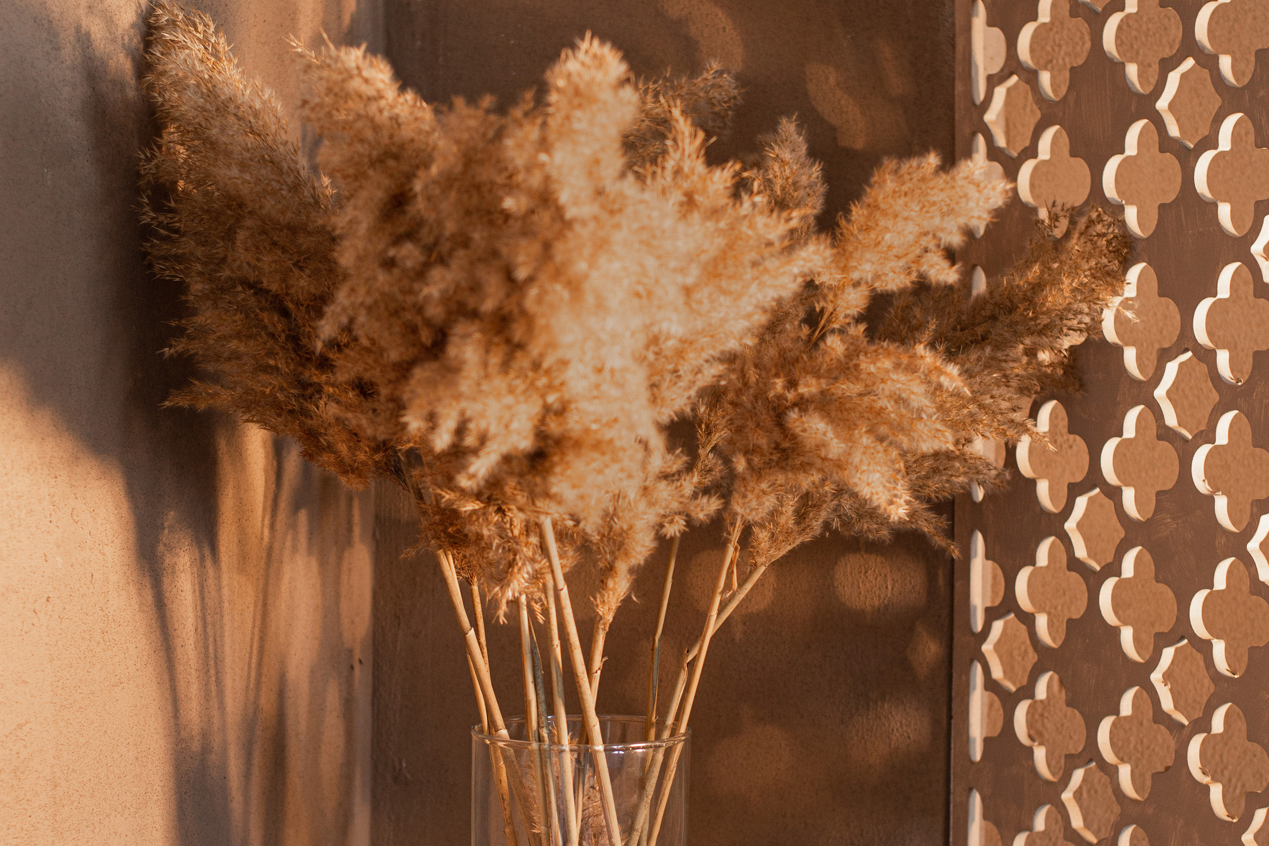 Главная. Фотостудия для маркетплейсов TM-lab