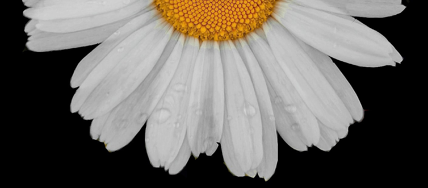 Портретный фотограф Ярославль I Натали Чуб