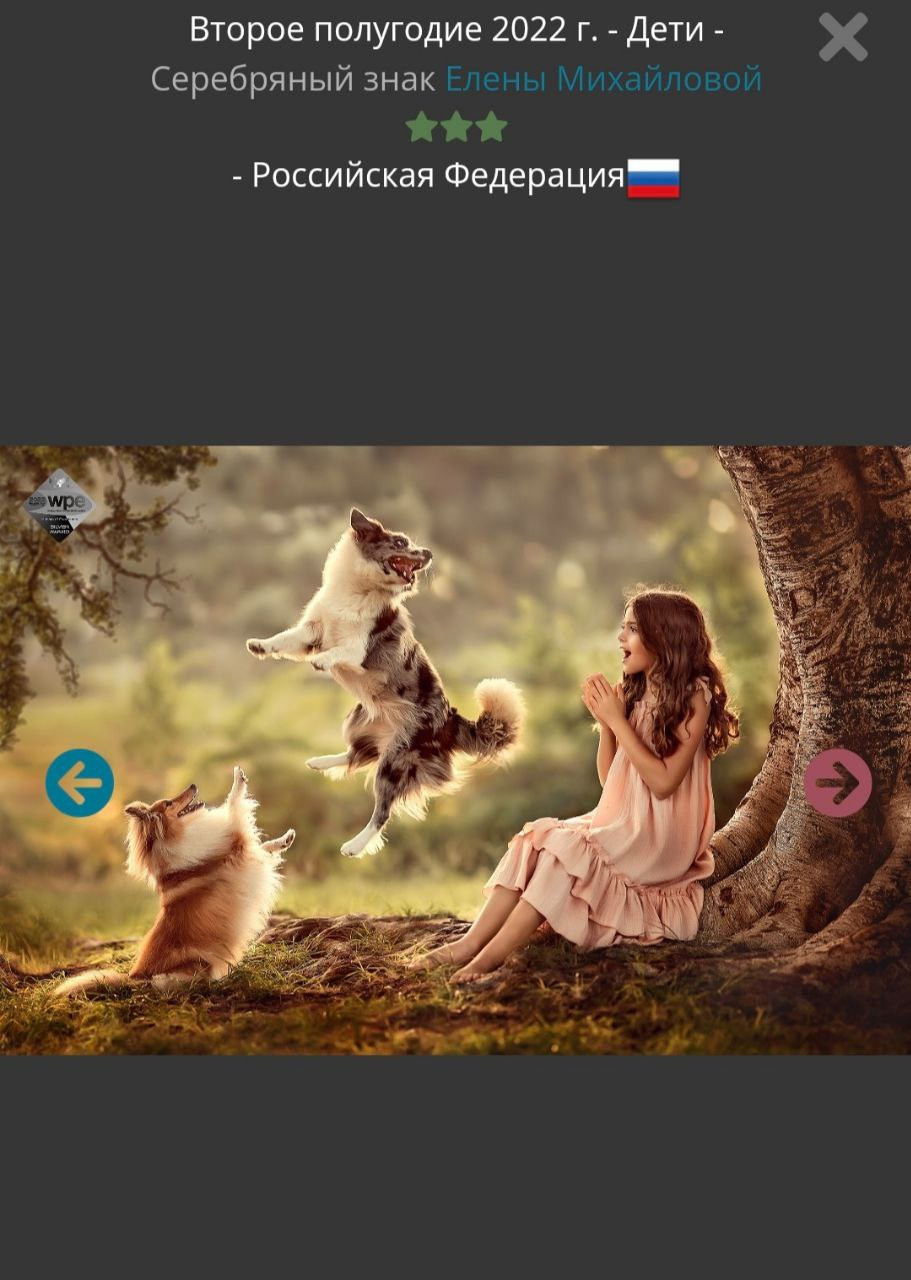 МОИ ДОСТИЖЕНИЯ. Детский и семейный фотограф Елена Михайлова в Москве