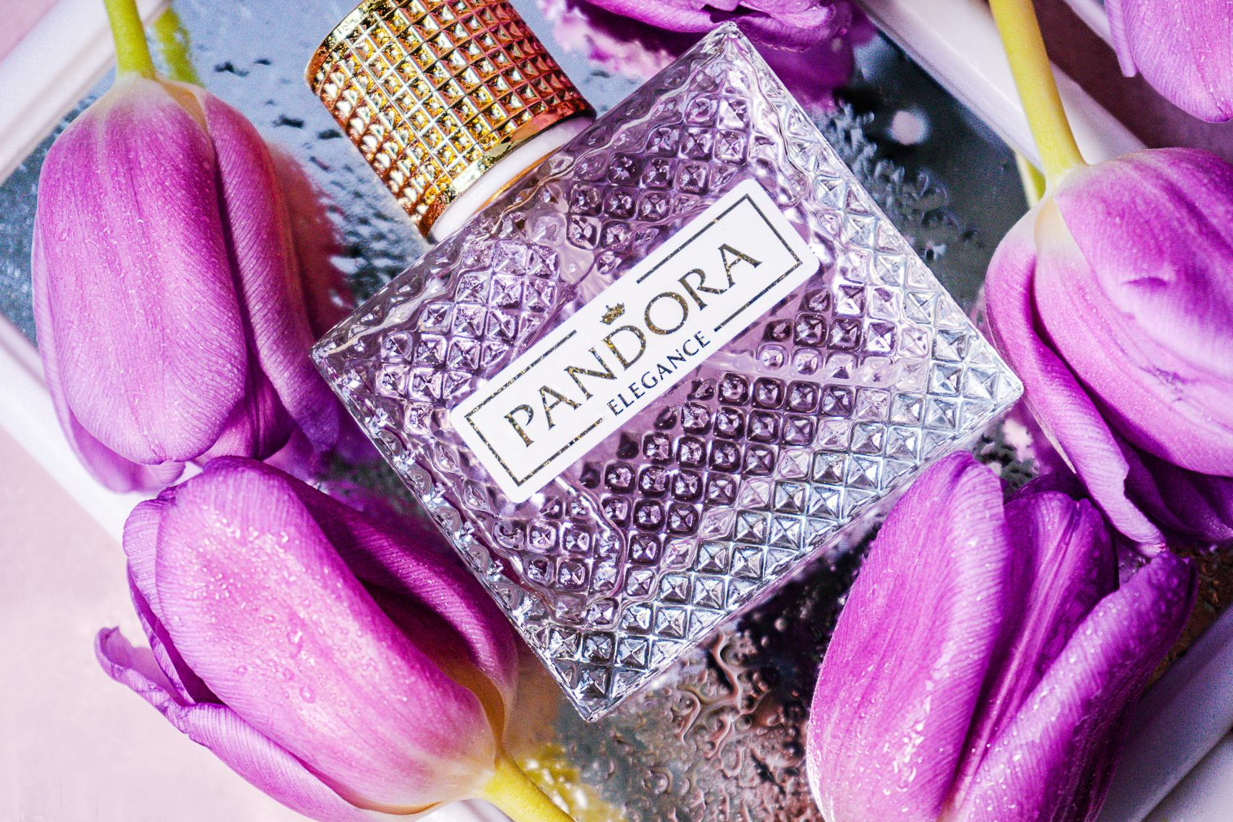 Комплексы услуг на контент фотосъемку. Семейный lifestyle и контент фотограф, г. Бронницы Крылова Анна