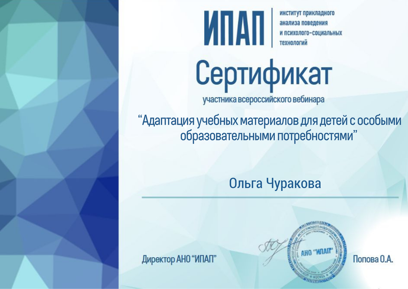 АНО «Центра социальных проектов «Путь в большой мир»