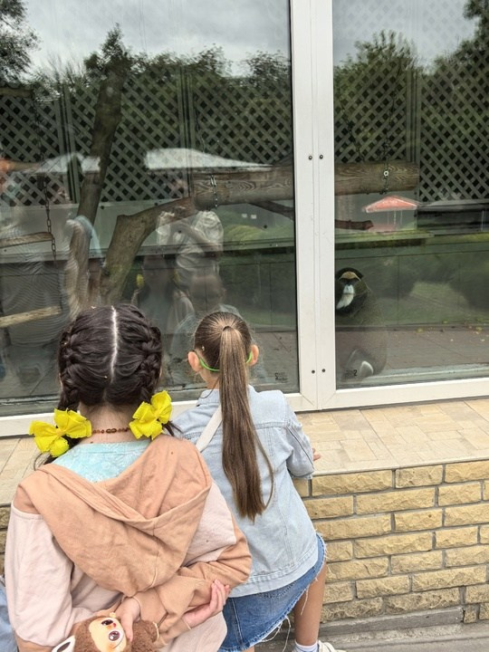 Воспитанники нашего АНО " Путь в большой мир» сходили в Ростовский зоопарк. АНО «Центра социальных проектов «Путь в большой мир»