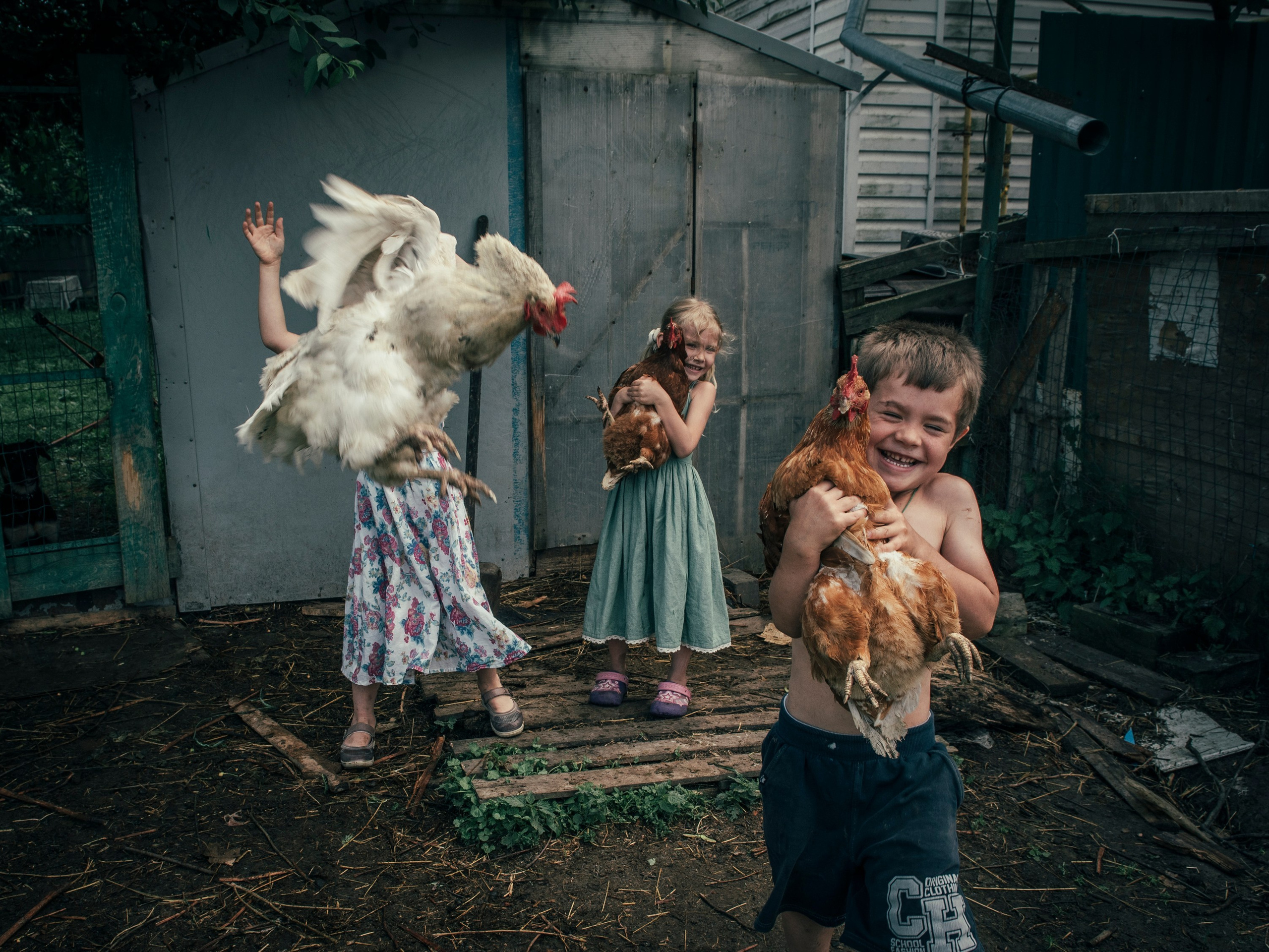 Portfolio Award 2026