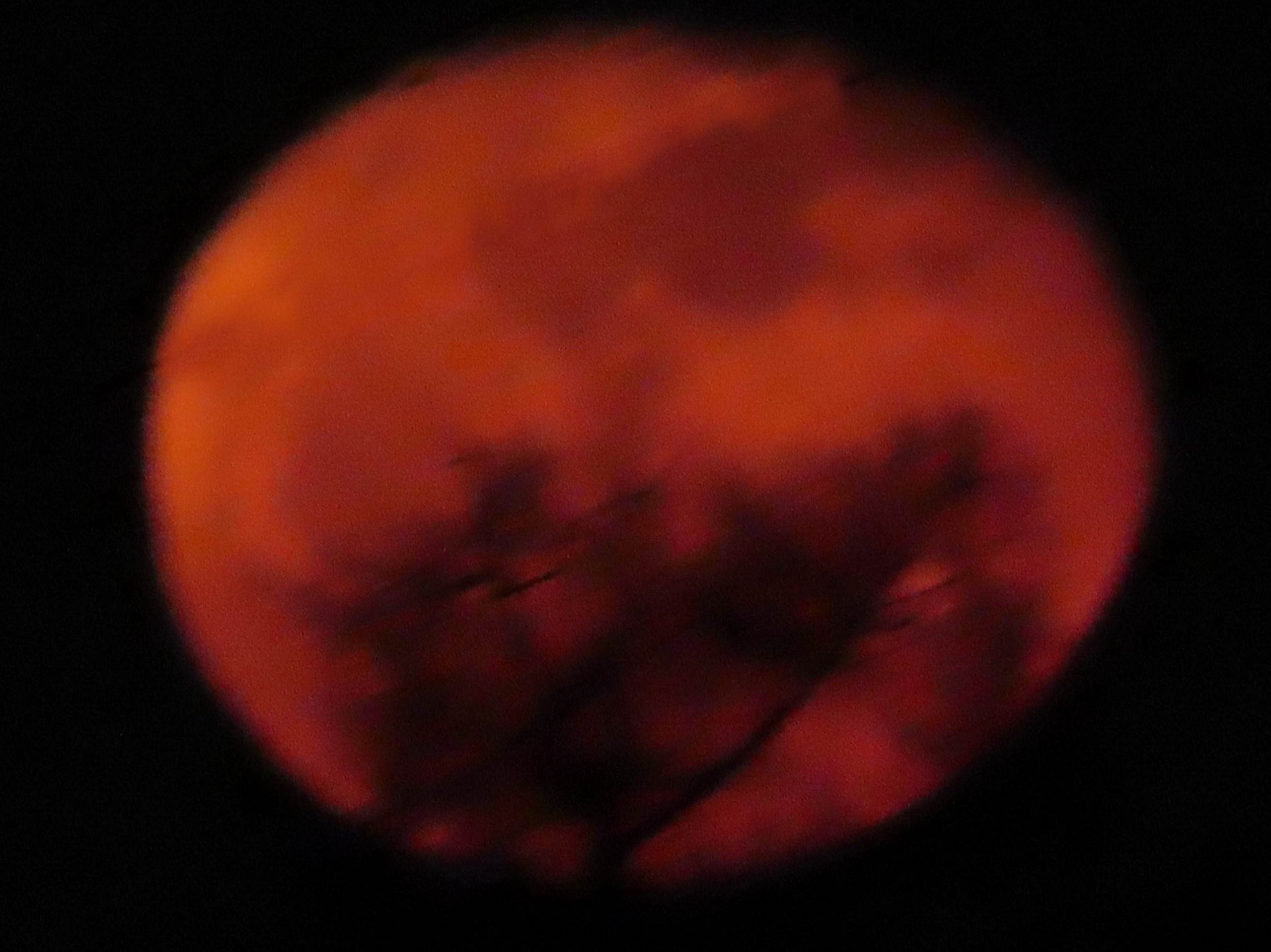 Шамильева Елена. ARTEXPOPHOTO