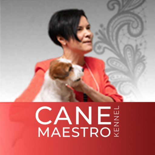 CONTACTS. CANE MAESTRO — kennel Jack Russell Terrier