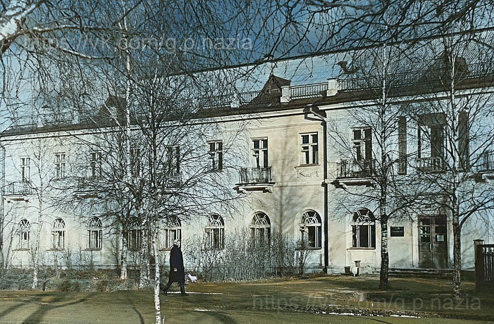 Магазины, киоски, кафе, дом быта, аптека и гостиница. История Назиевского городского поселения