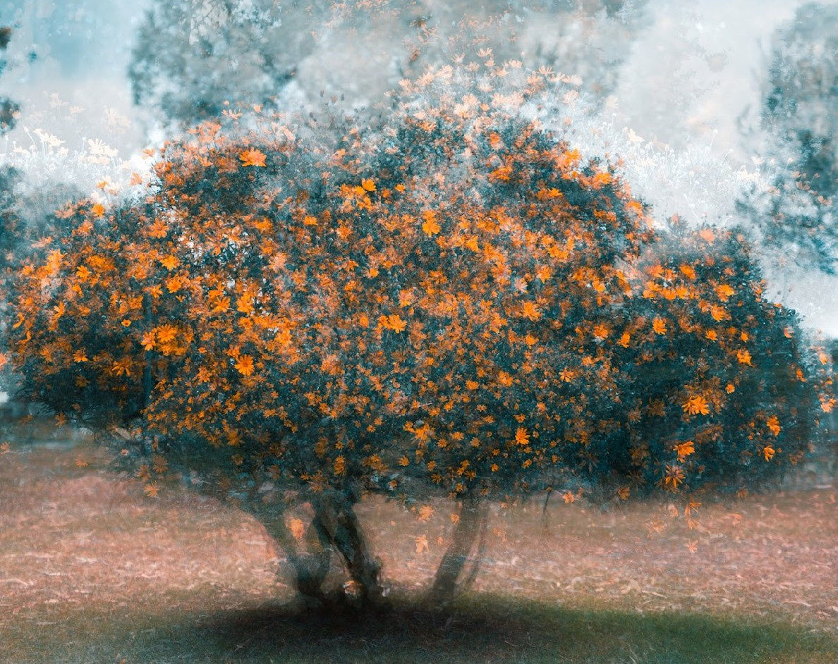 Калиновский Геннадий. ARTEXPOPHOTO